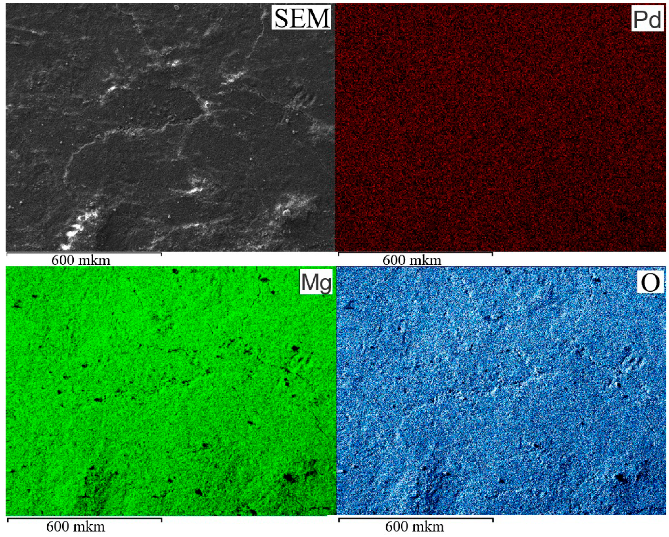 Molecules 30 03820 g001