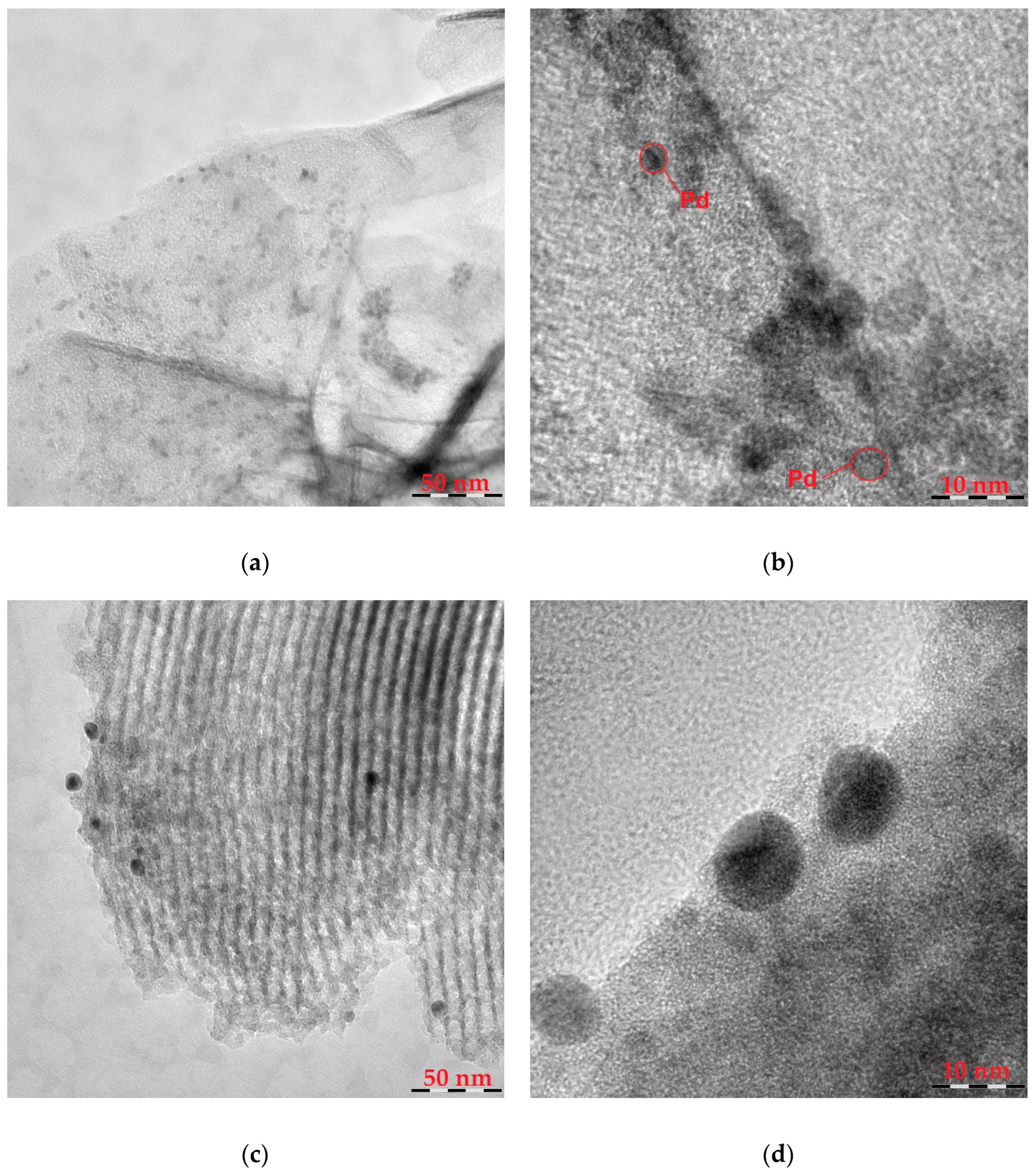 Molecules 30 03820 g004