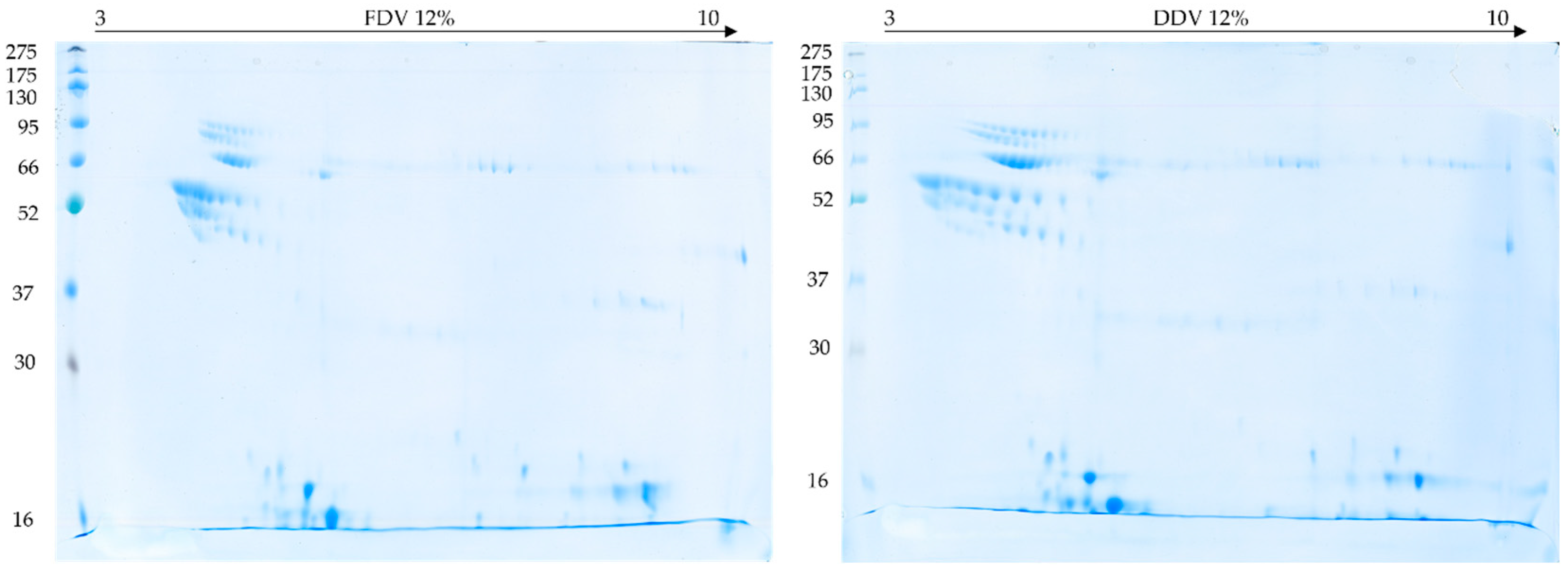 Molecules 30 03827 g005 Molecules 30 03827 g005