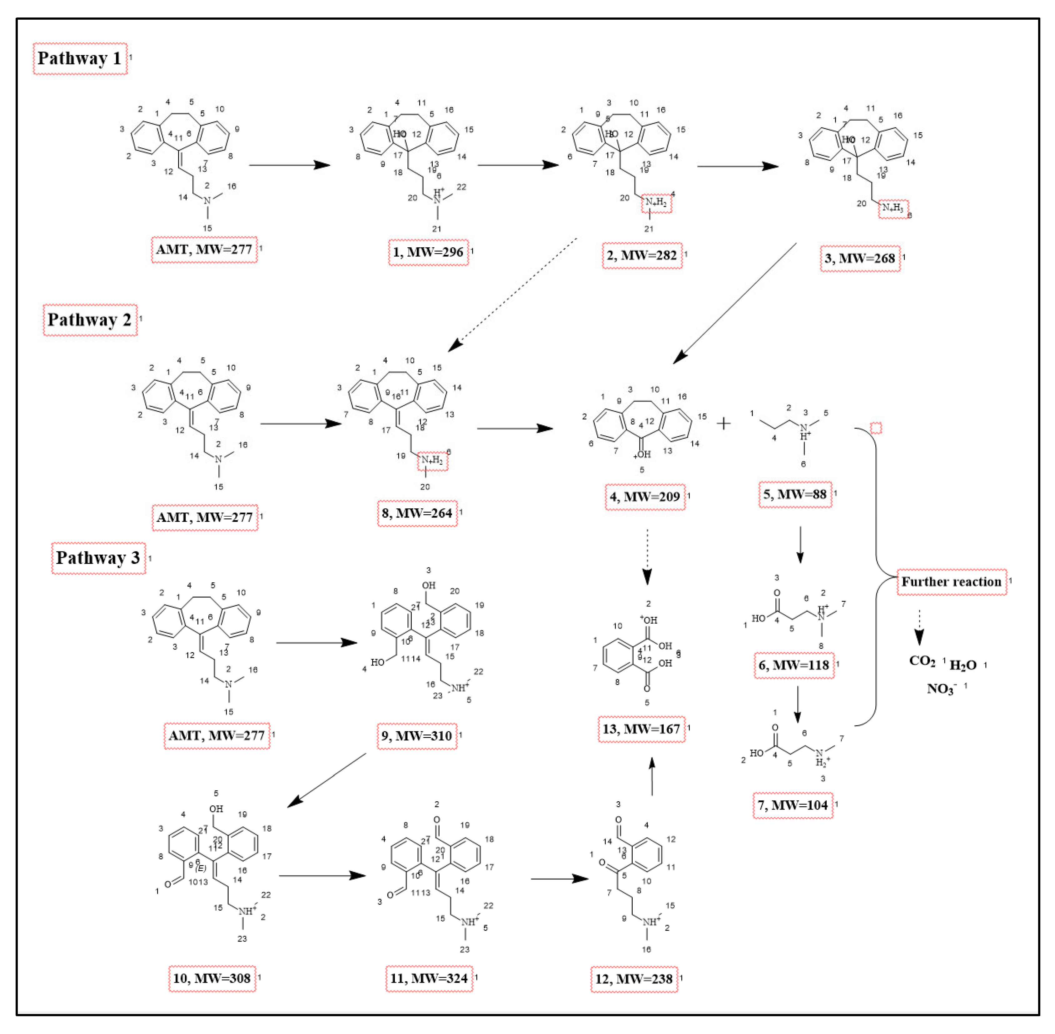 Molecules 30 03835 g009