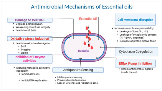 Molecules 30 03873 g001