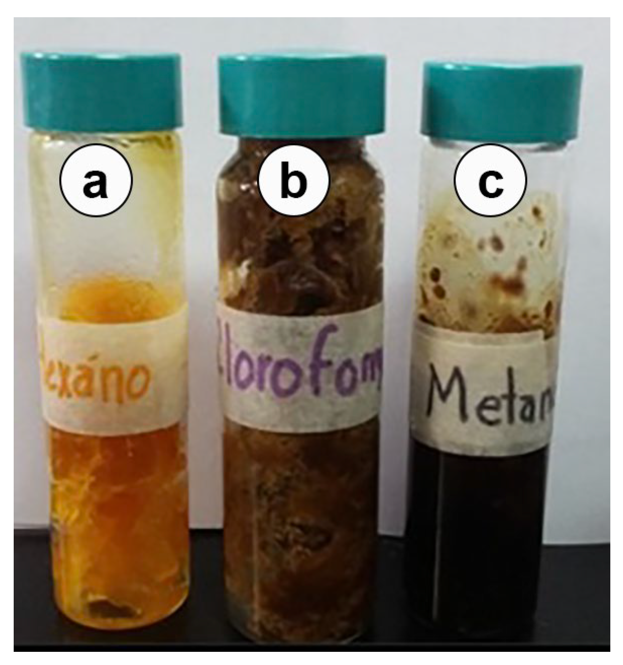 Molecules 30 03880 g002 Molecules 30 03880 g002