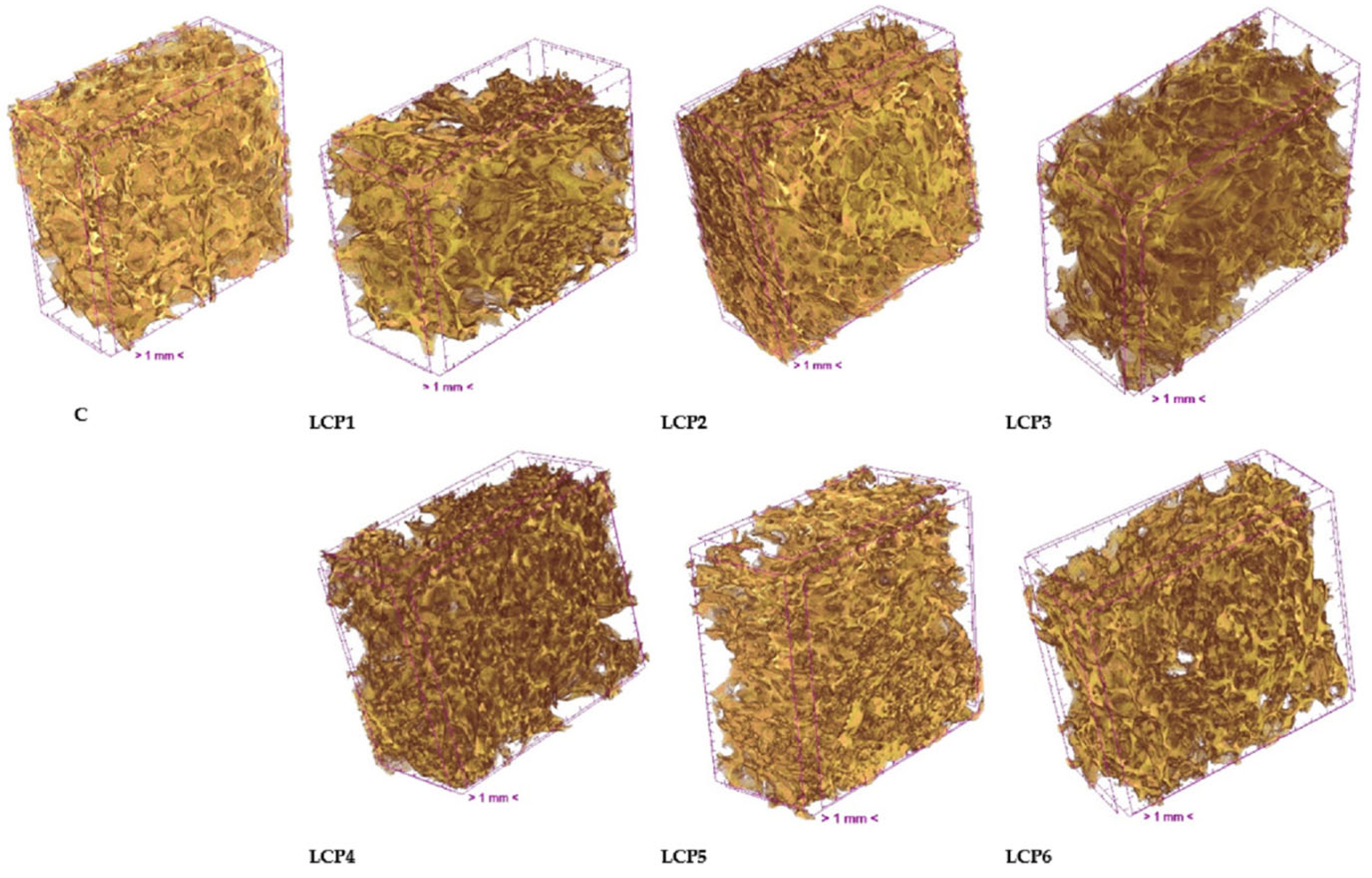Molecules 30 03884 g001 Molecules 30 03884 g001
