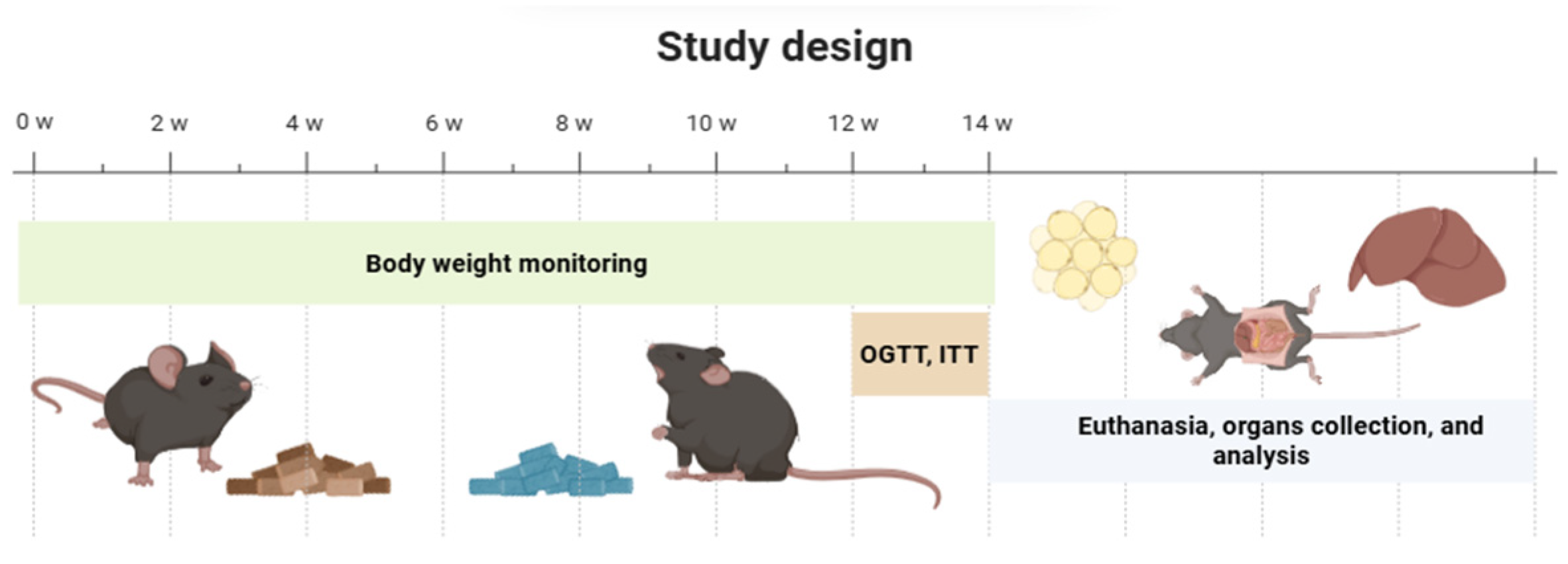 Molecules 30 03895 g008 Molecules 30 03895 g008