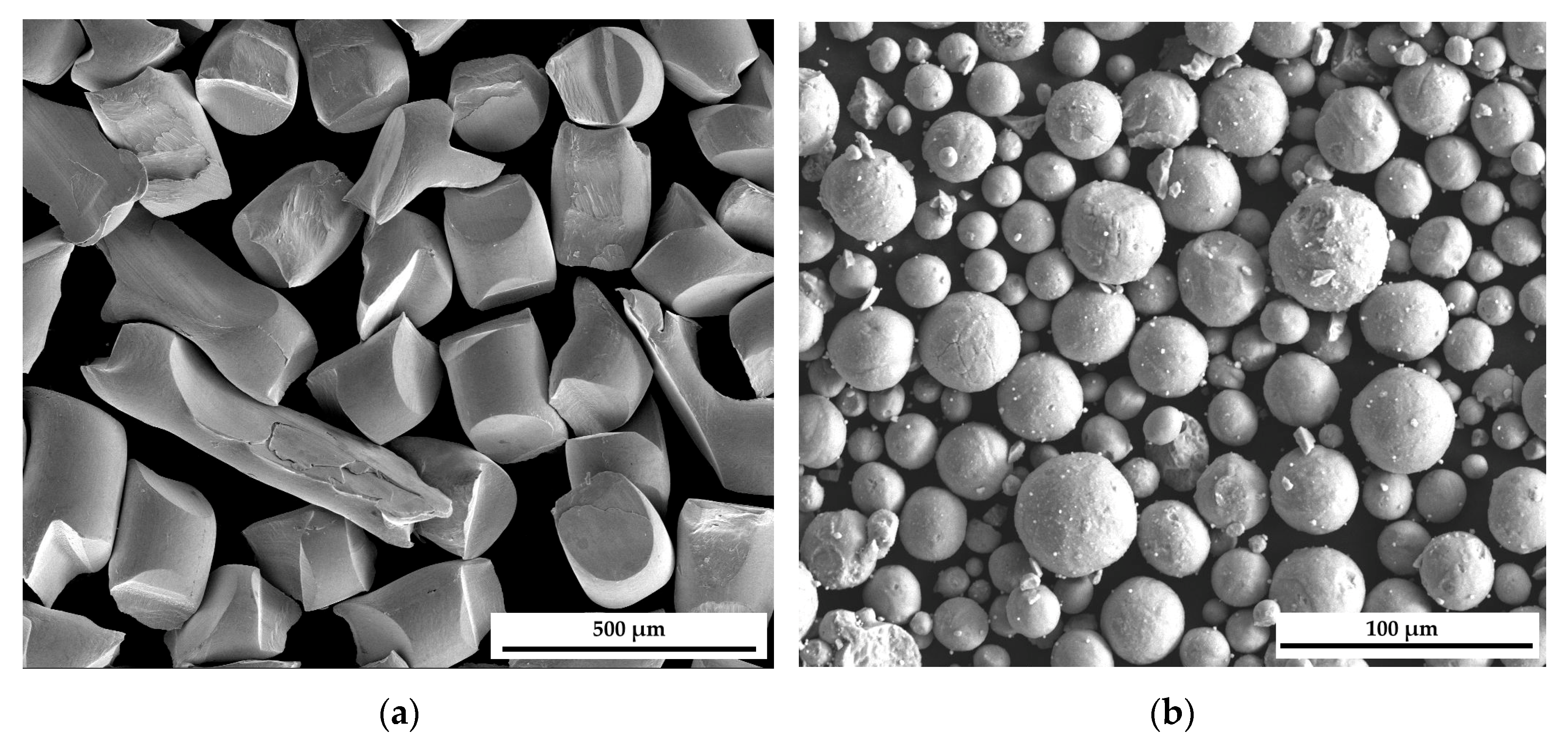 Molecules 30 03898 g007 Molecules 30 03898 g007
