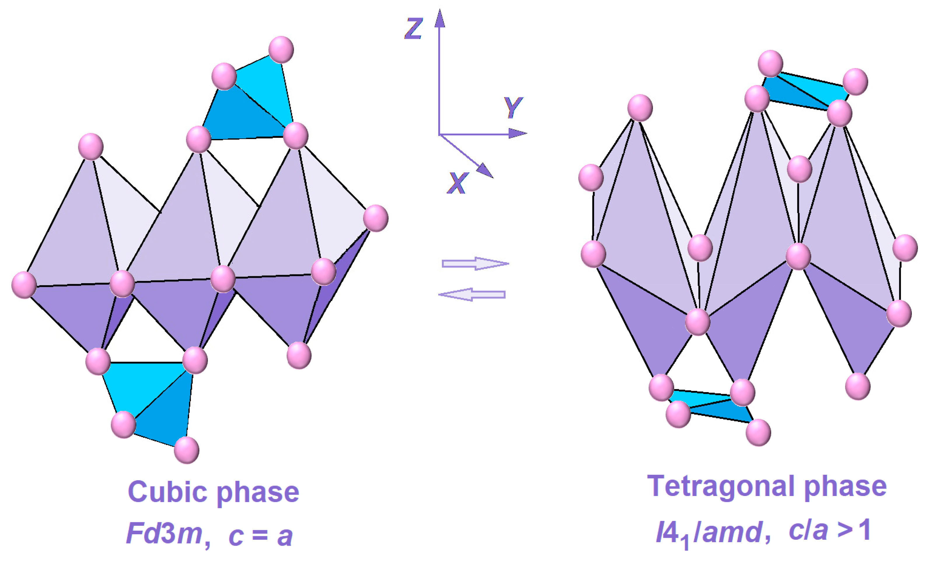 Molecules 30 03900 g002 Molecules 30 03900 g002