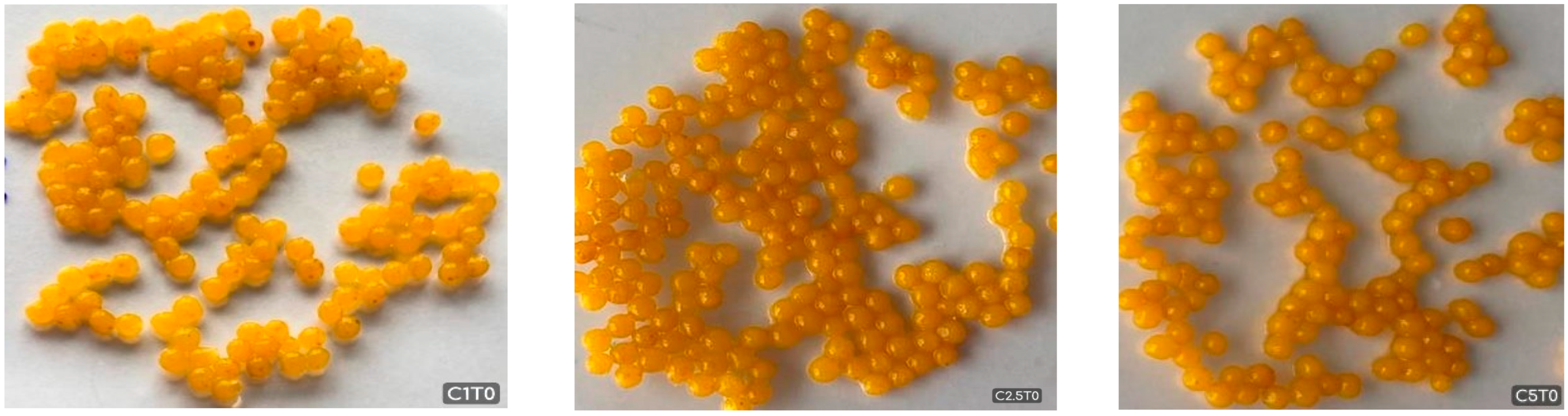 Molecules 30 03926 g001 Molecules 30 03926 g001