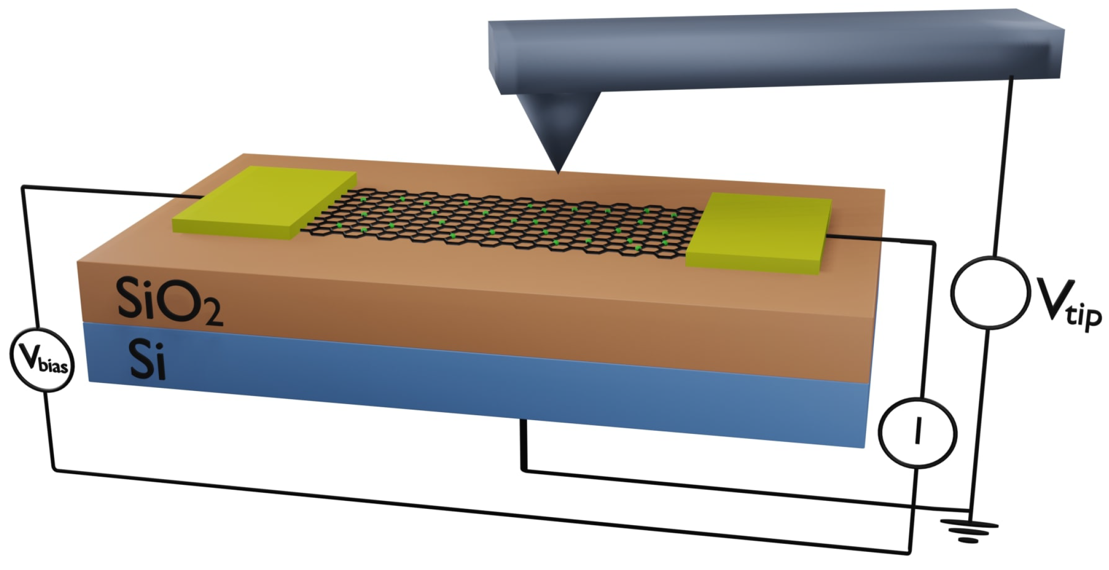 Molecules 30 03929 g001