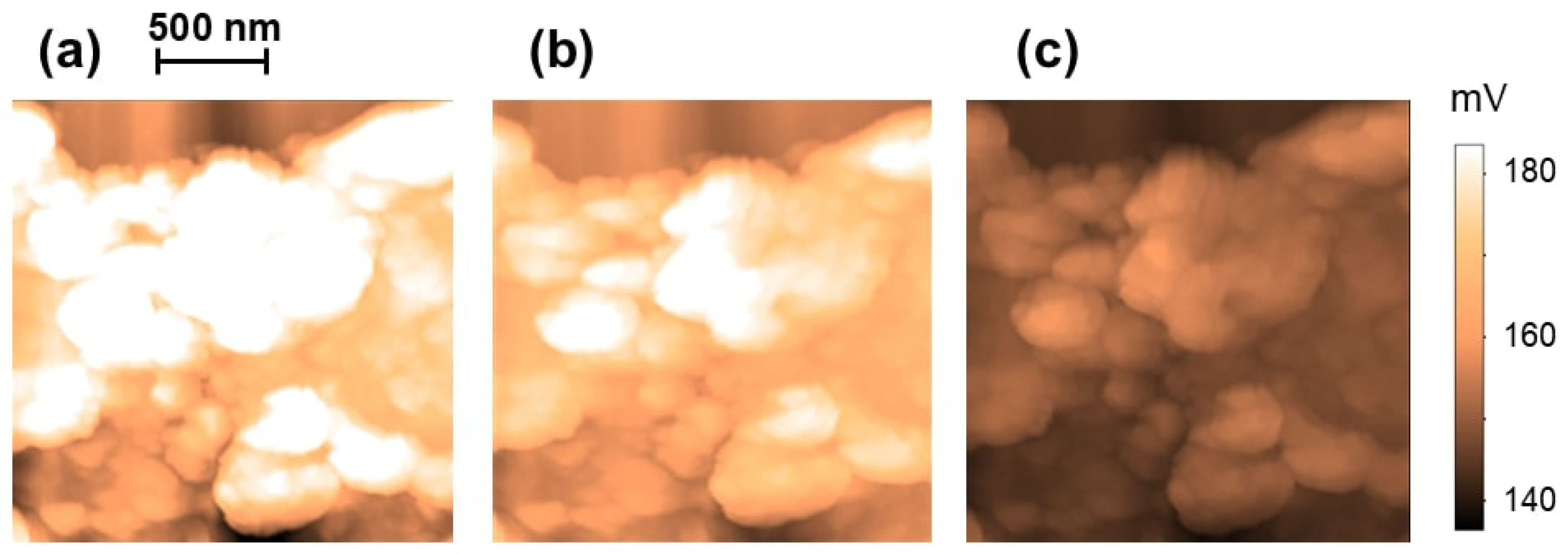 Molecules 30 03929 g002