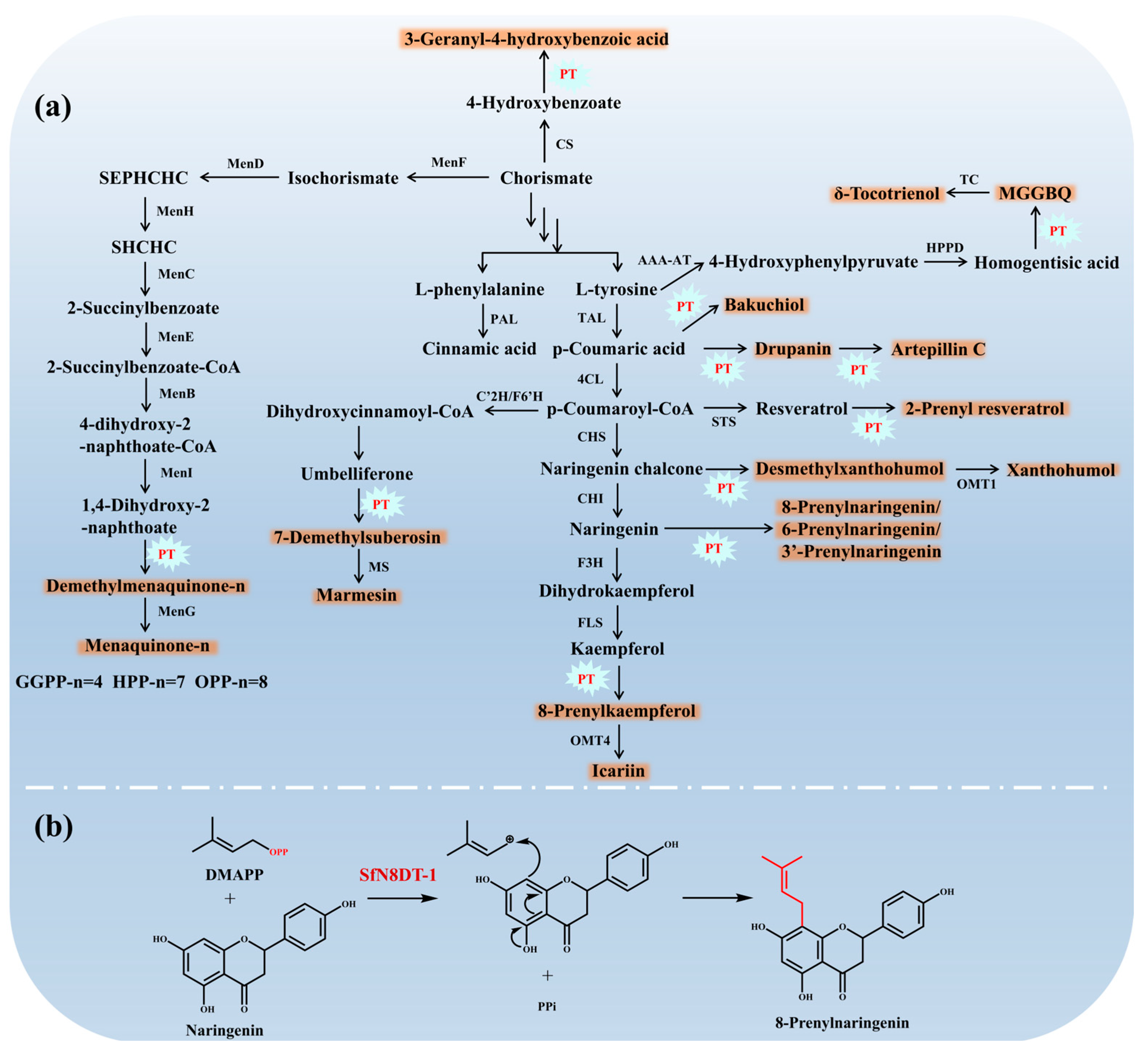 Molecules 30 03931 g002