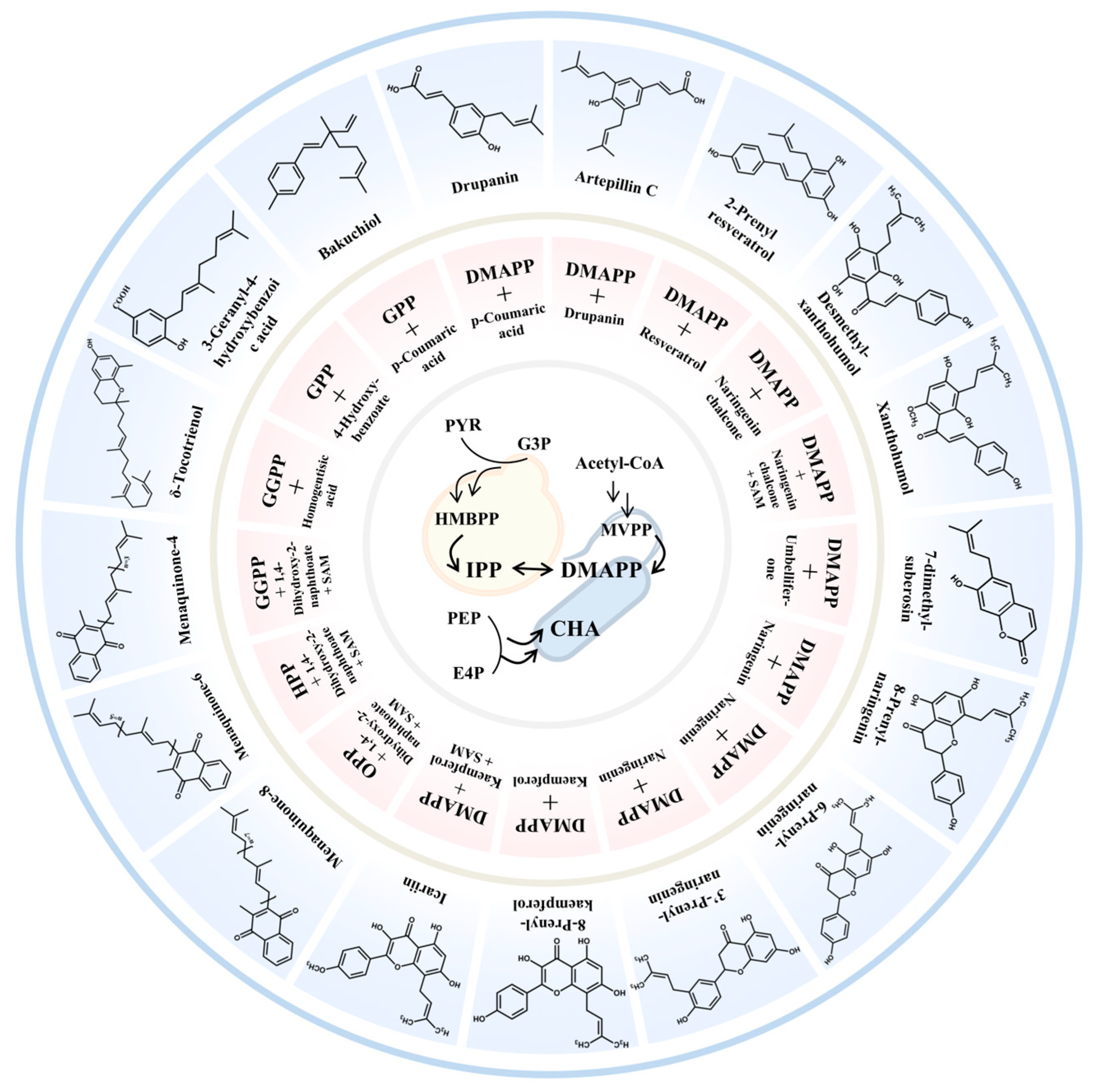 Molecules 30 03931 g003