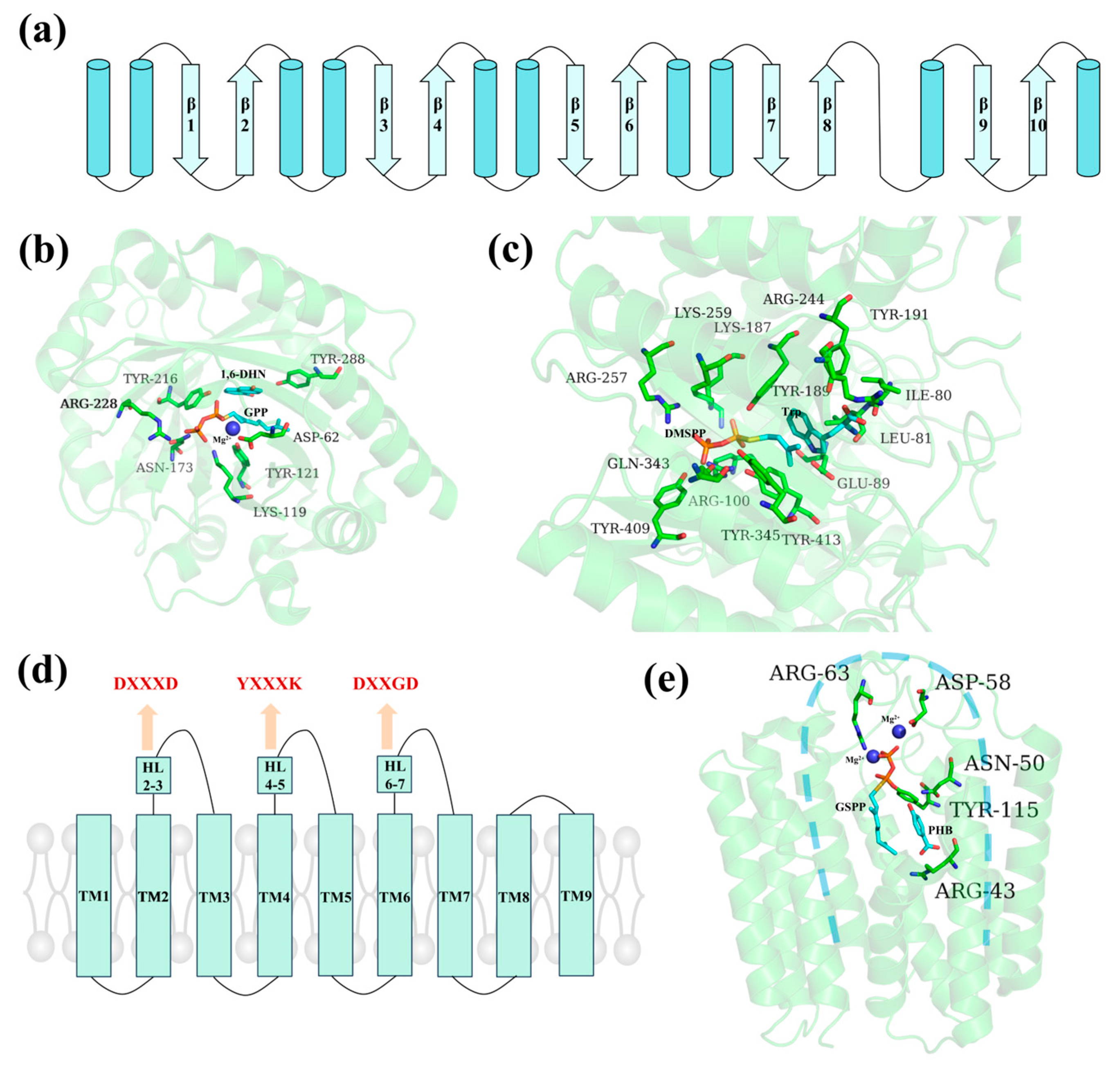 Molecules 30 03931 g004