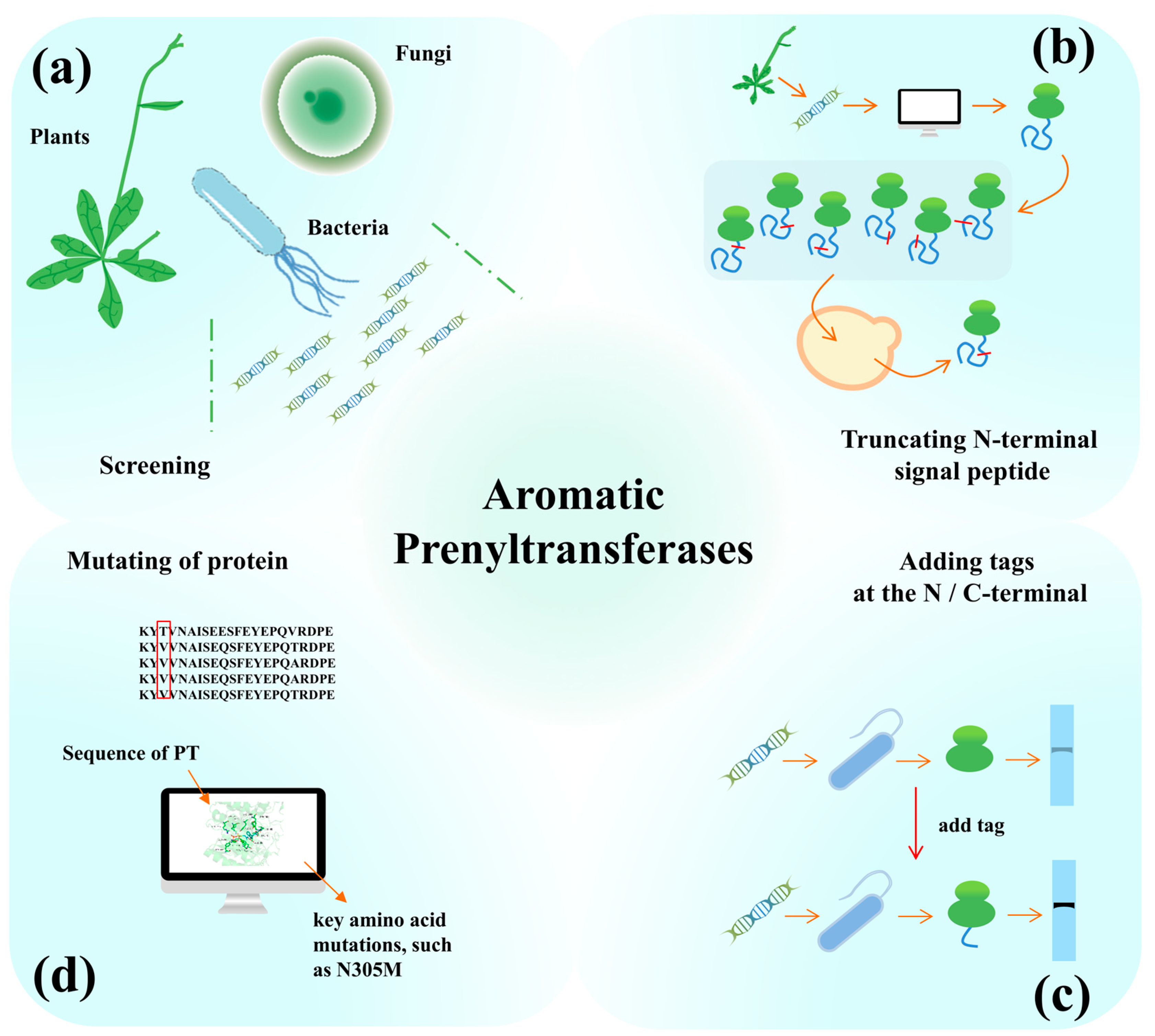 Molecules 30 03931 g005