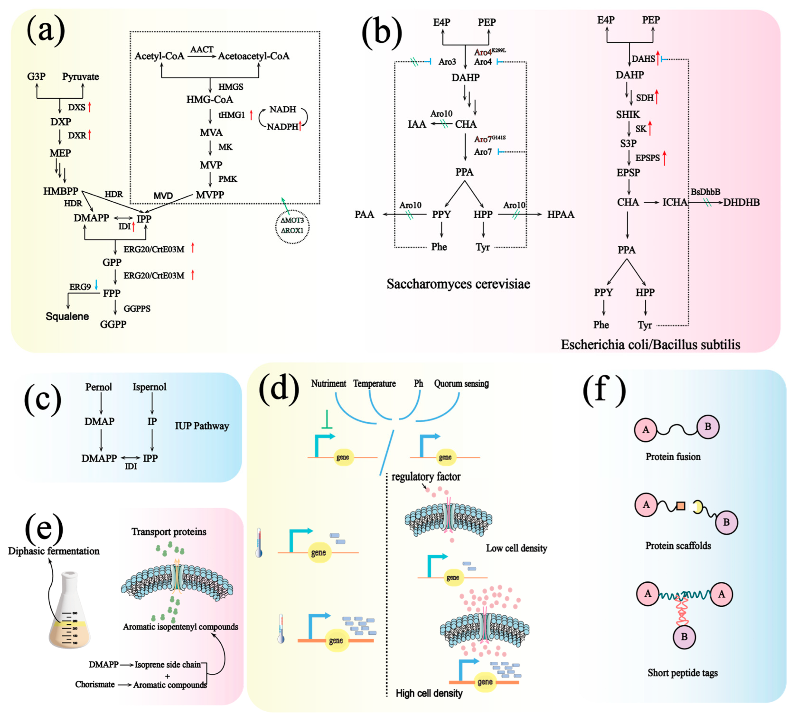 Molecules 30 03931 g006