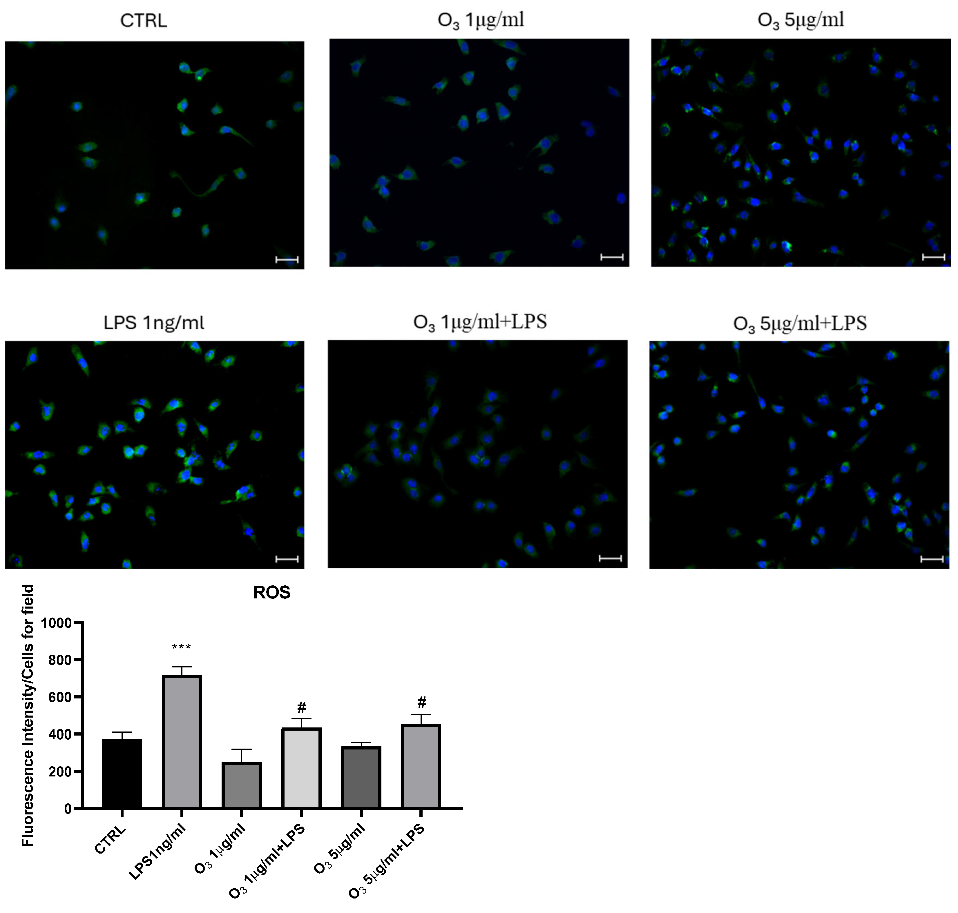 Molecules 30 03932 g003