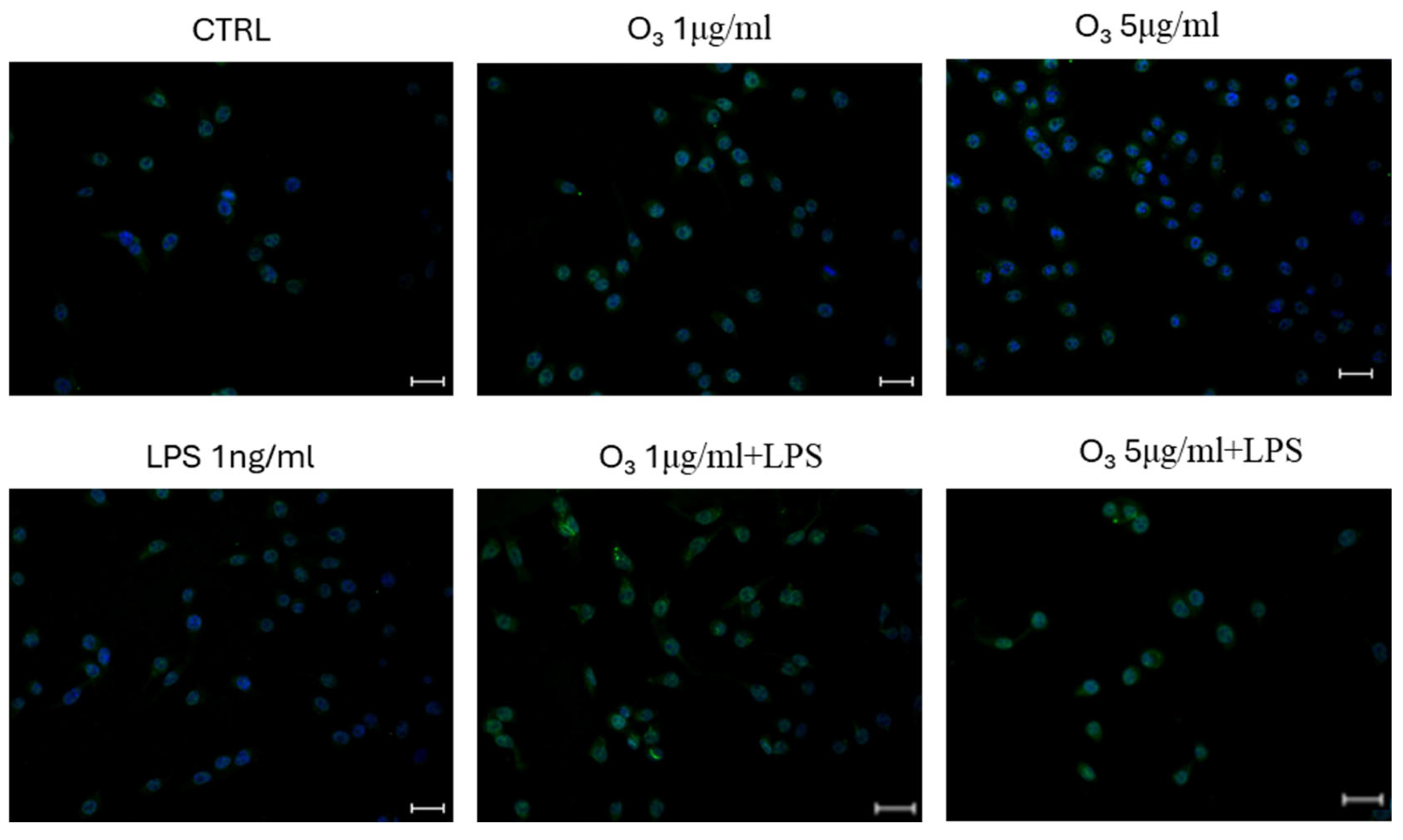 Molecules 30 03932 g005a