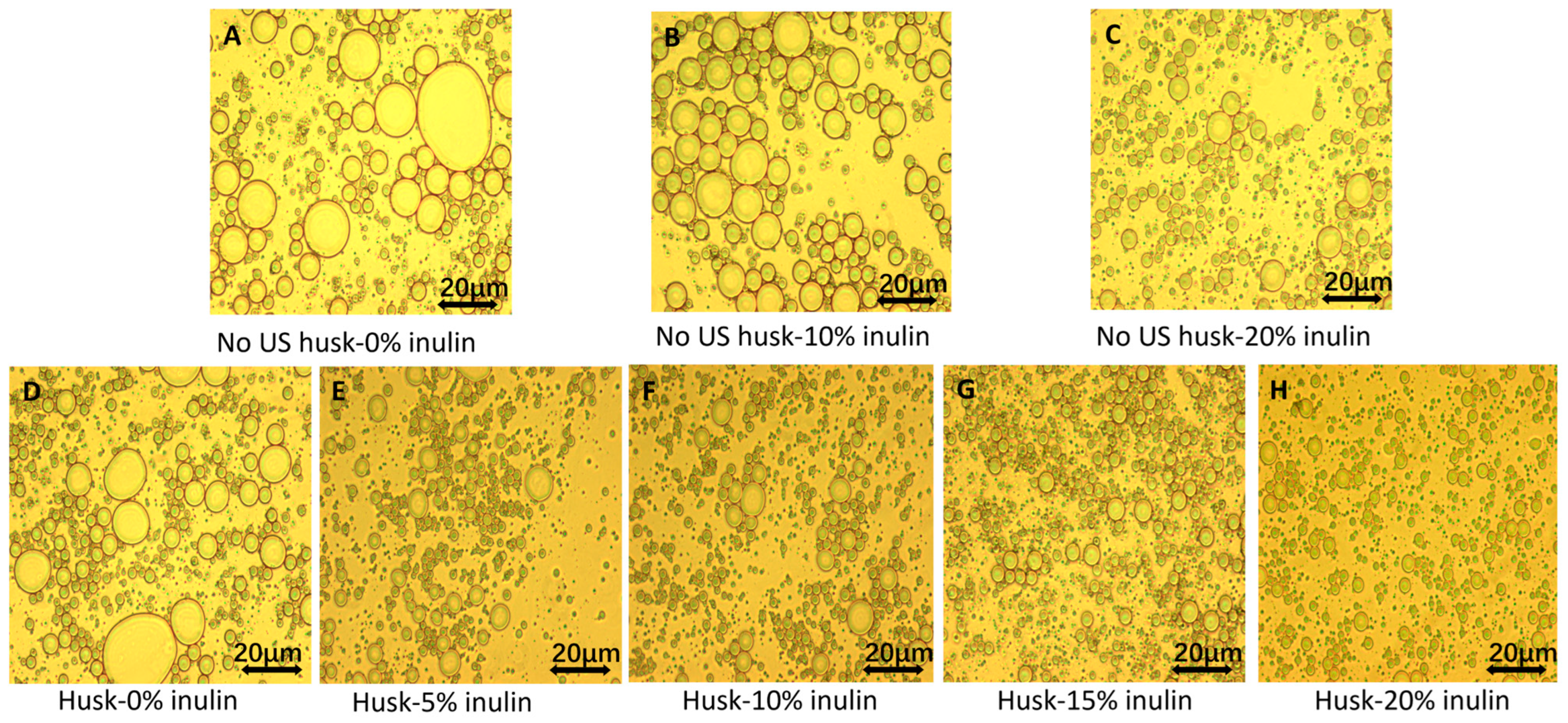 Molecules 30 03933 g001
