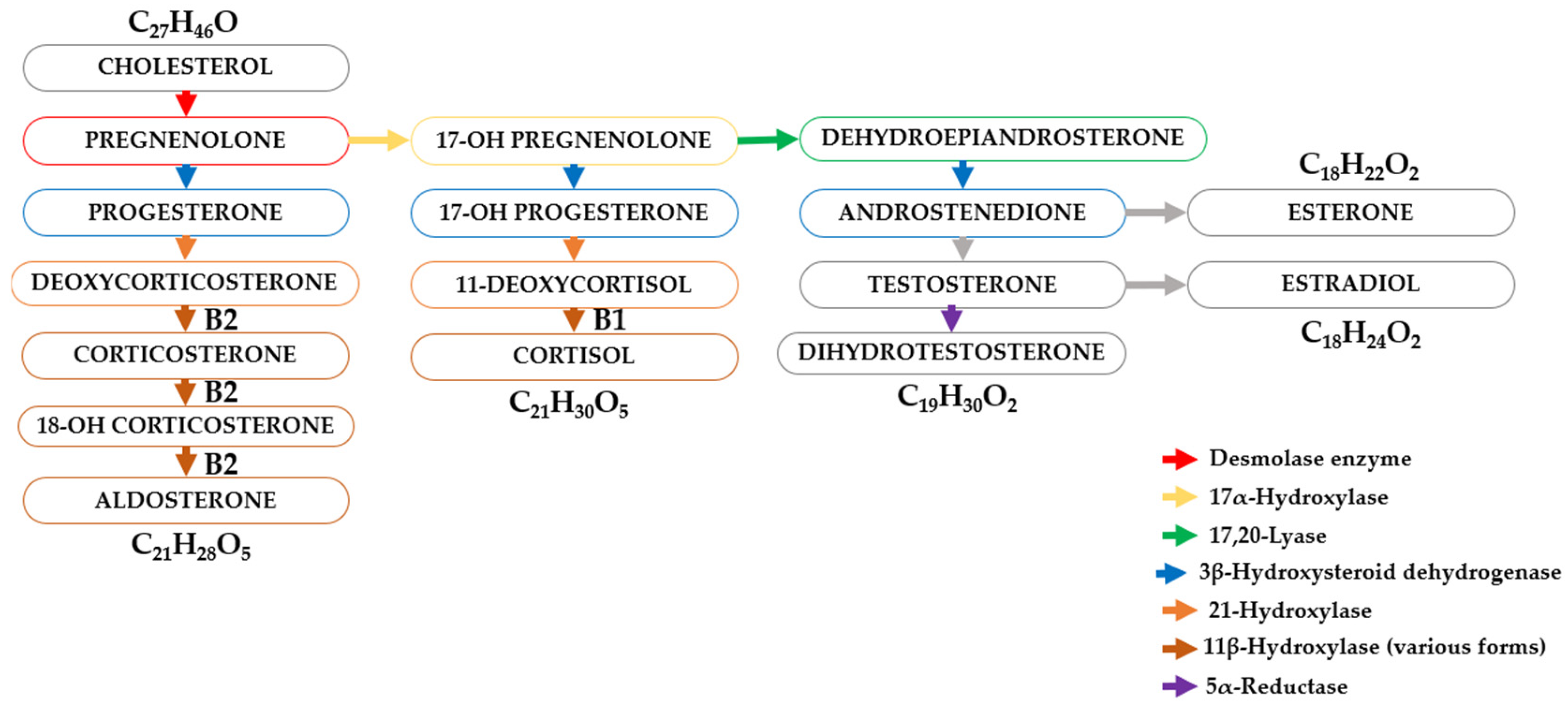 Molecules 30 03941 g004 Molecules 30 03941 g004