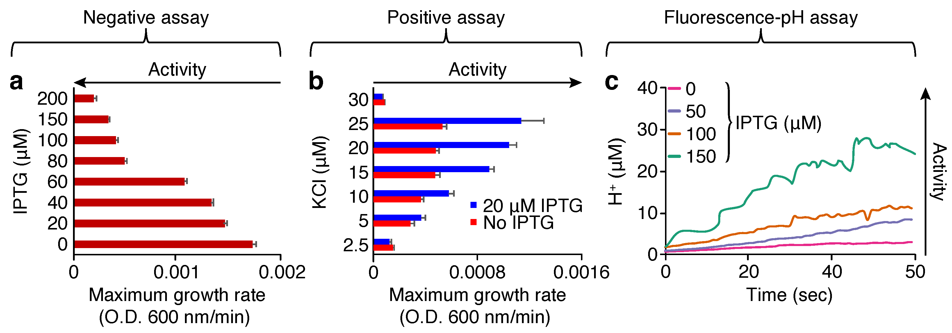 Molecules 30 03942 g001