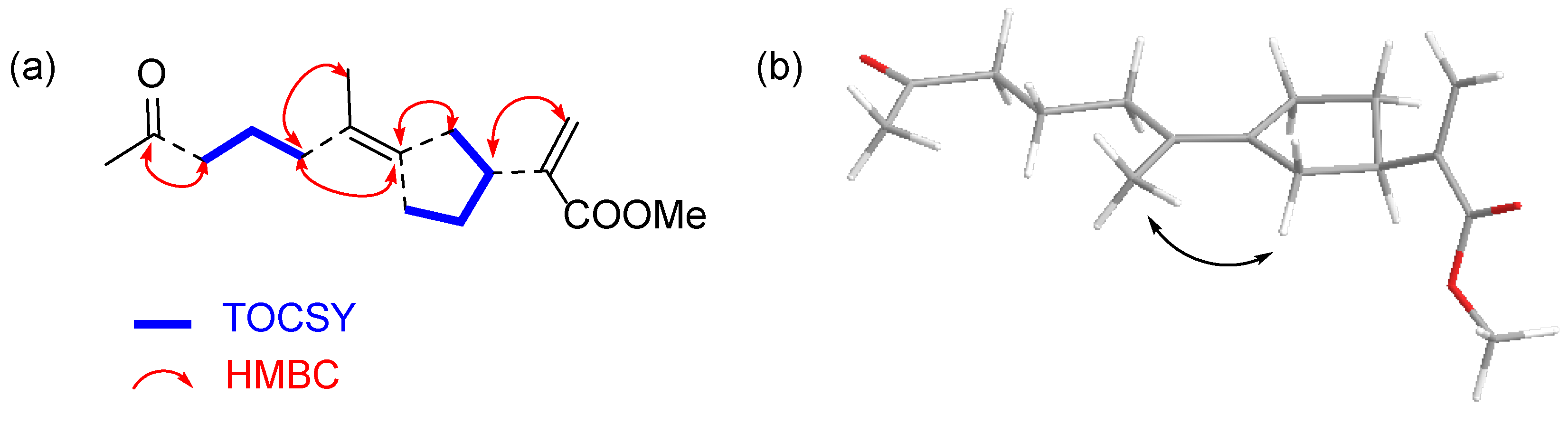 Molecules 30 03950 g004 Molecules 30 03950 g004