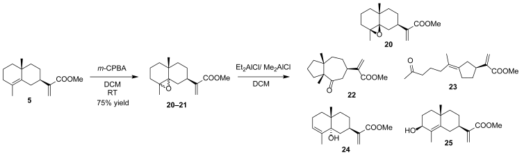 Molecules 30 03950 i003 Molecules 30 03950 i003