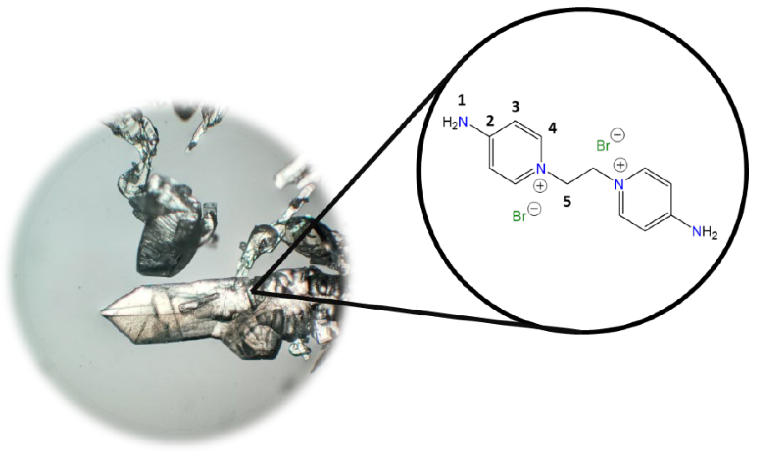 Molecules 30 03962 i001 Molecules 30 03962 i001