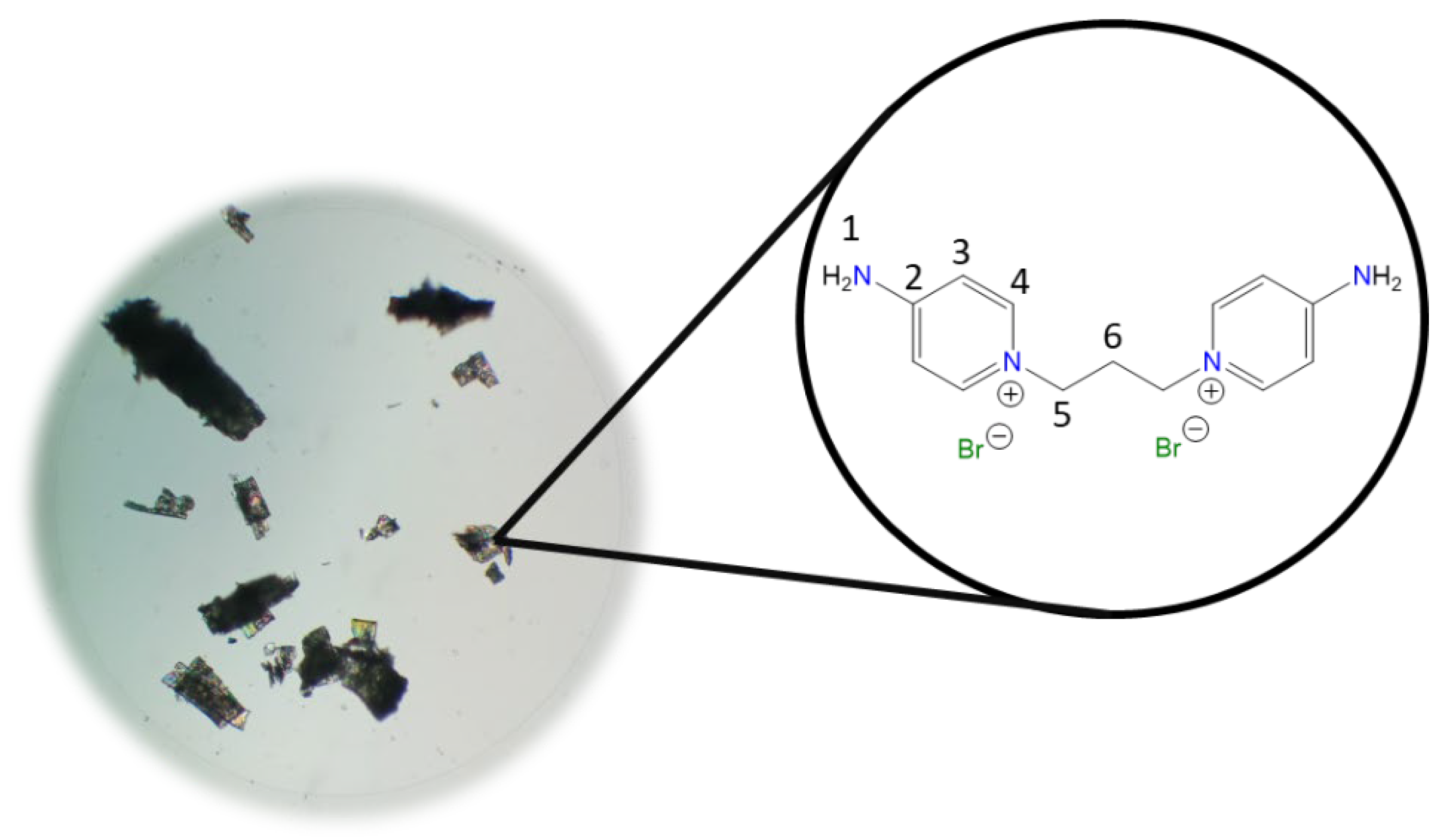 Molecules 30 03962 i002 Molecules 30 03962 i002