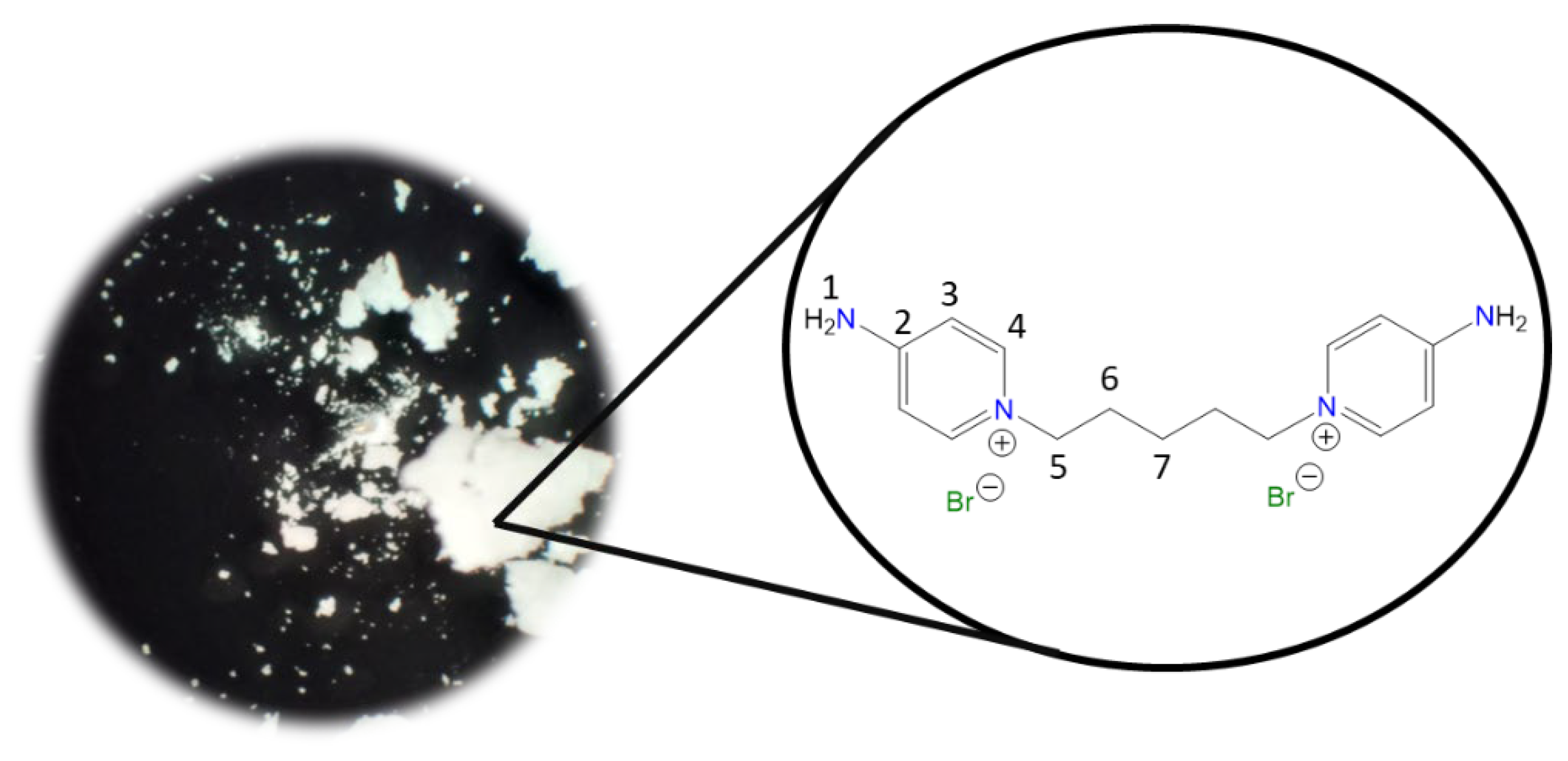 Molecules 30 03962 i004 Molecules 30 03962 i004