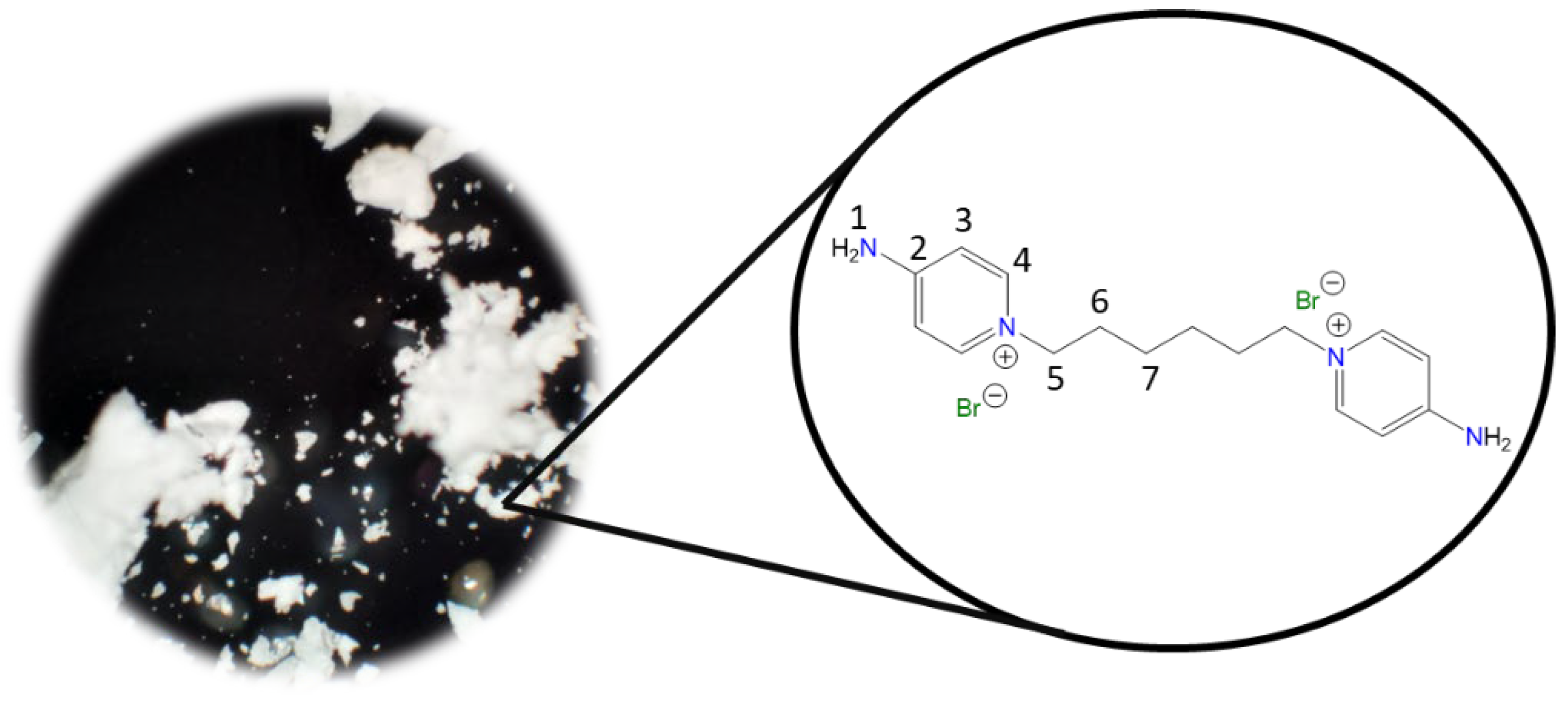 Molecules 30 03962 i005 Molecules 30 03962 i005
