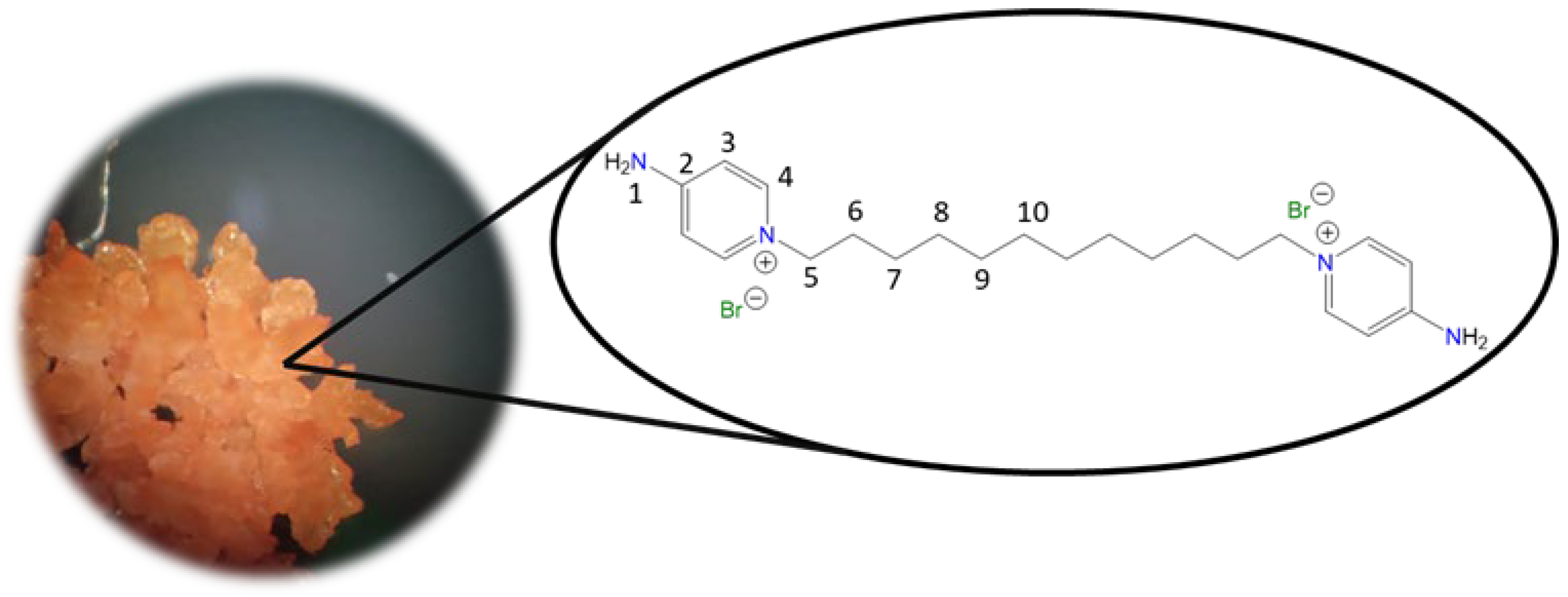 Molecules 30 03962 i008 Molecules 30 03962 i008