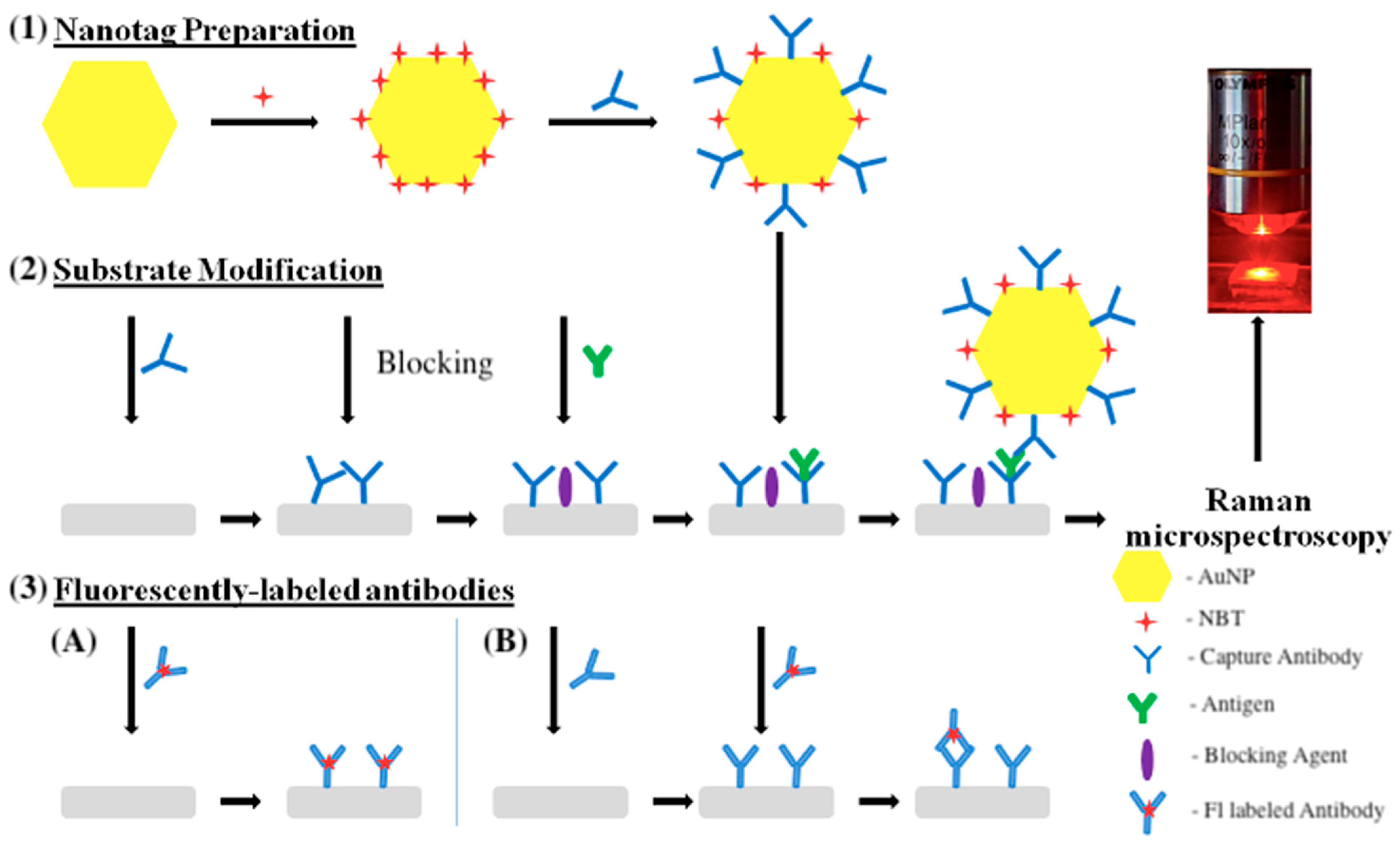 Molecules 30 03974 g005