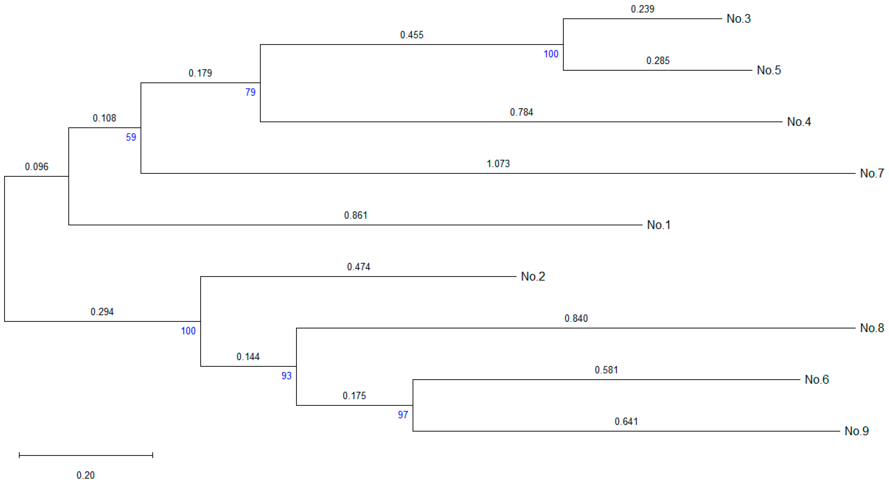 Molecules 30 03976 g006