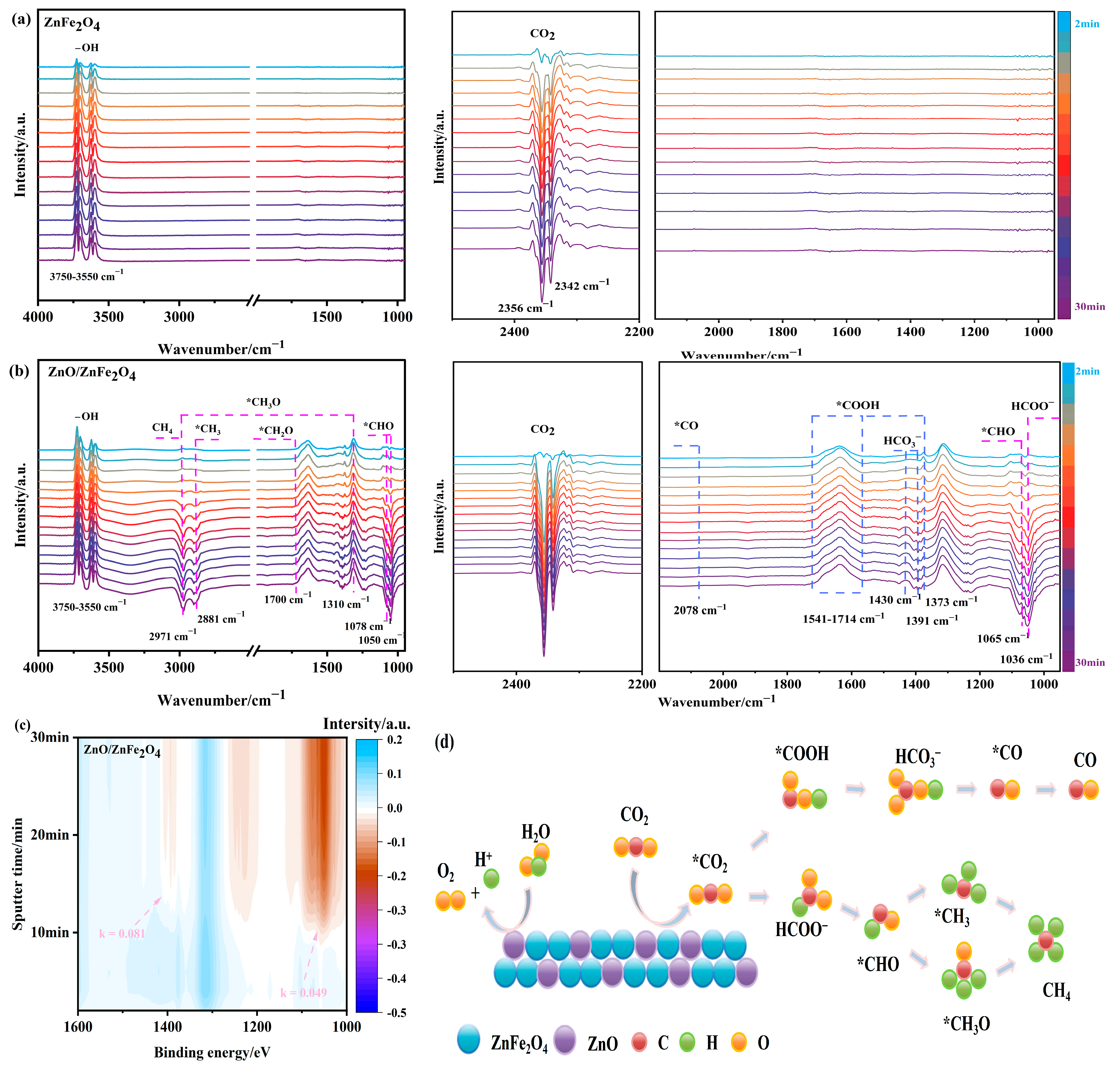 Molecules 30 03980 g006