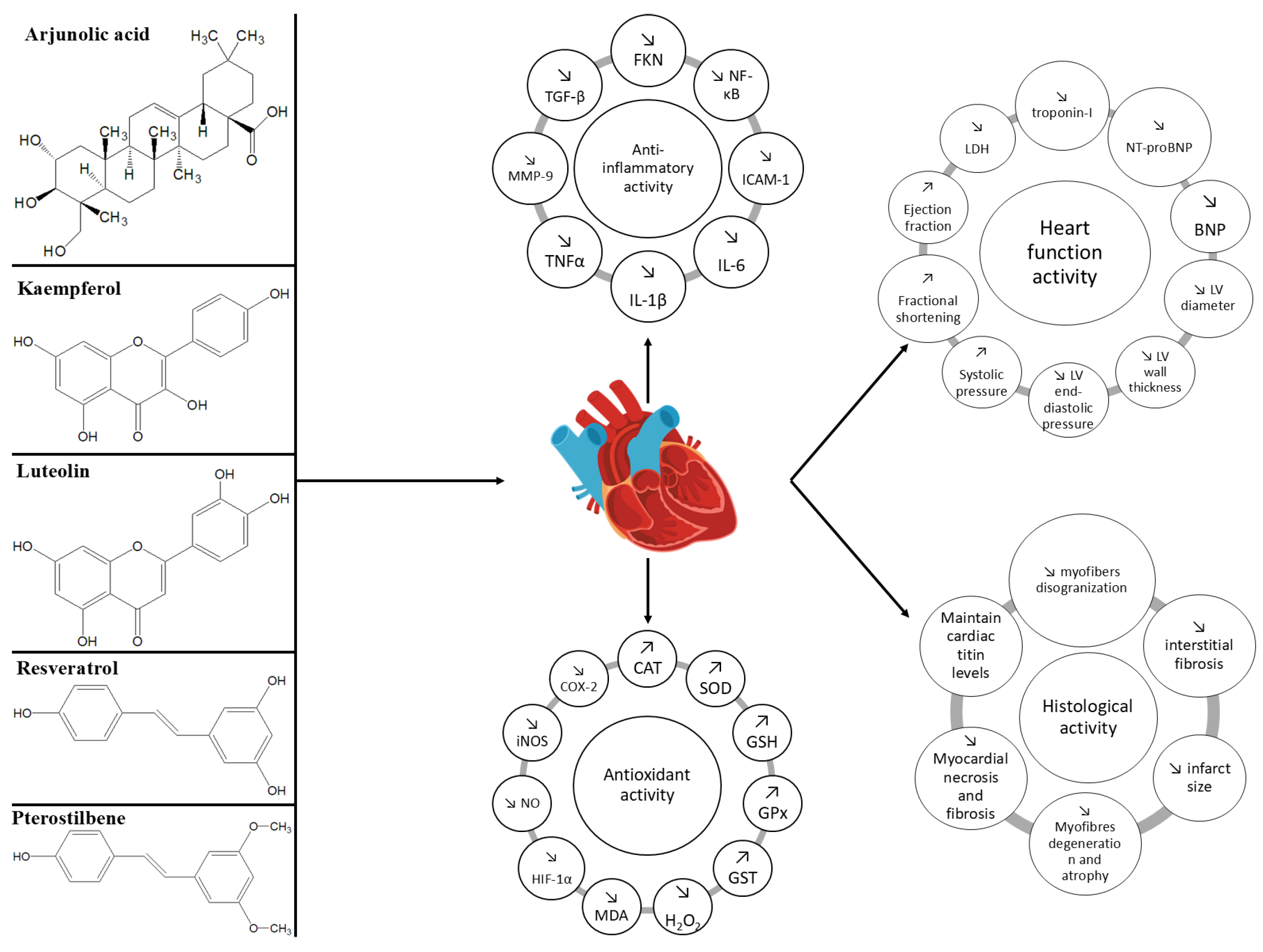 Molecules 30 03982 g002 Molecules 30 03982 g002