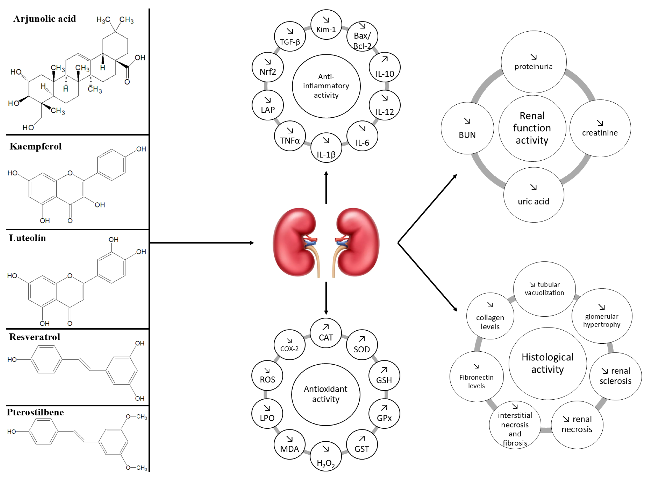 Molecules 30 03982 g003 Molecules 30 03982 g003