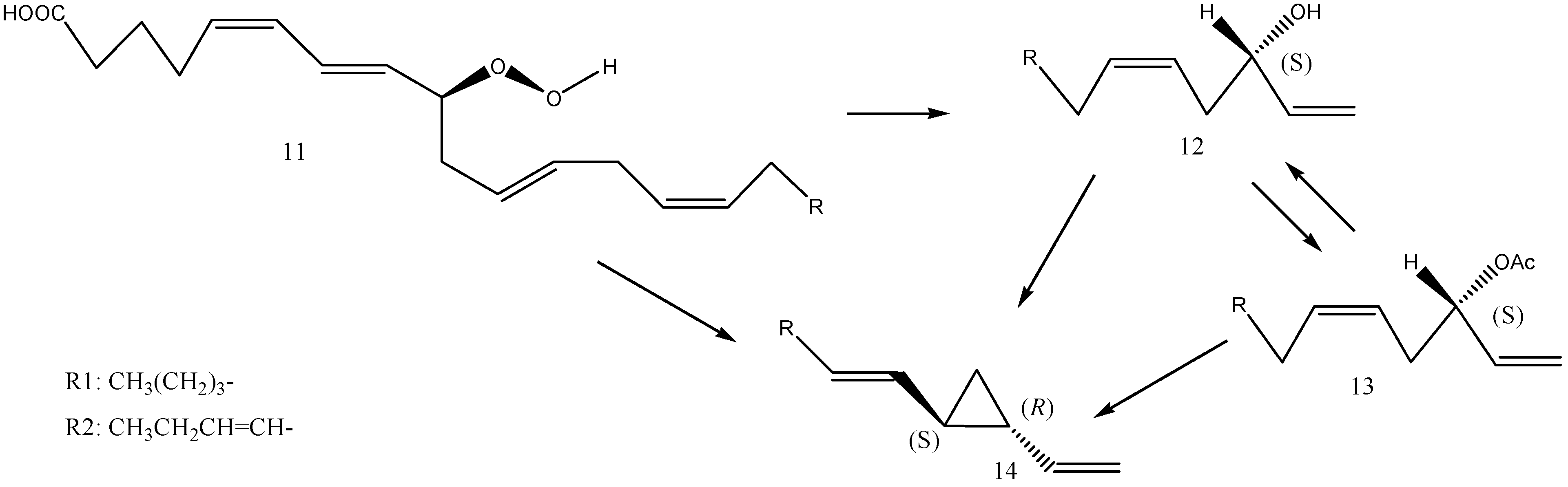 Molecules 30 03987 g007 Molecules 30 03987 g007