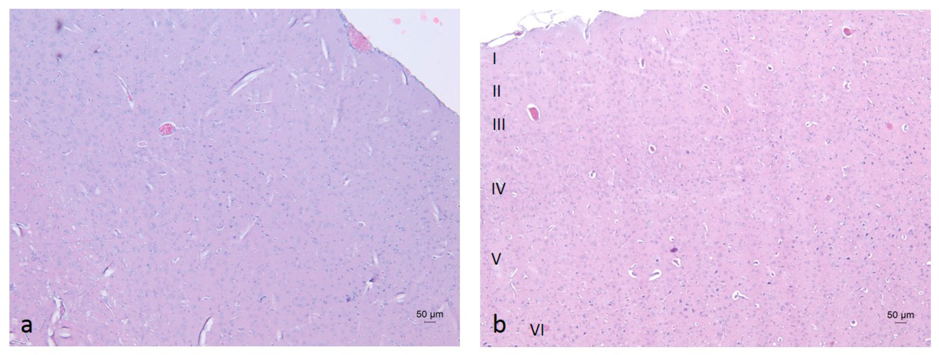 Molecules 30 04007 g007