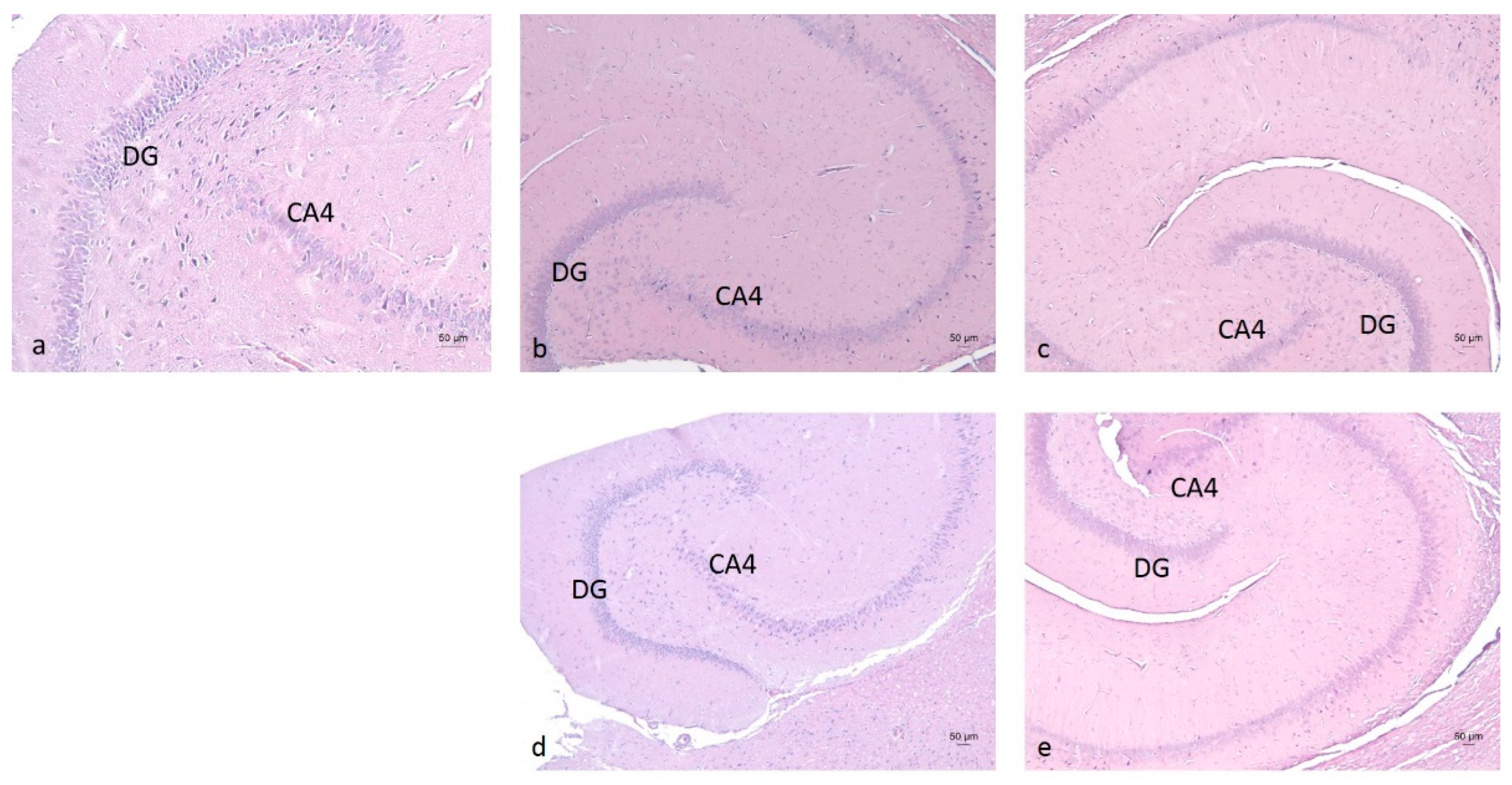 Molecules 30 04007 g008