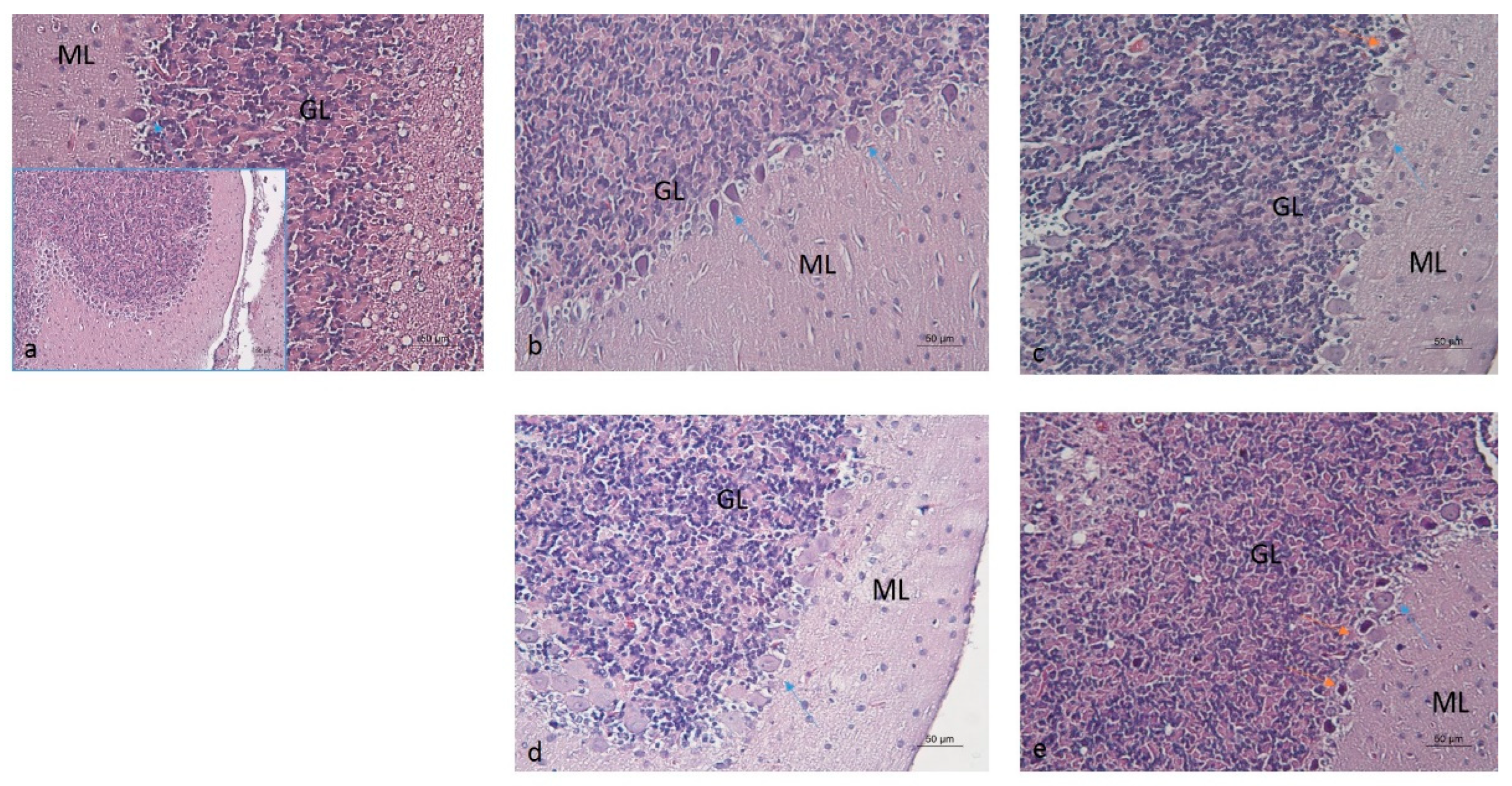 Molecules 30 04007 g009