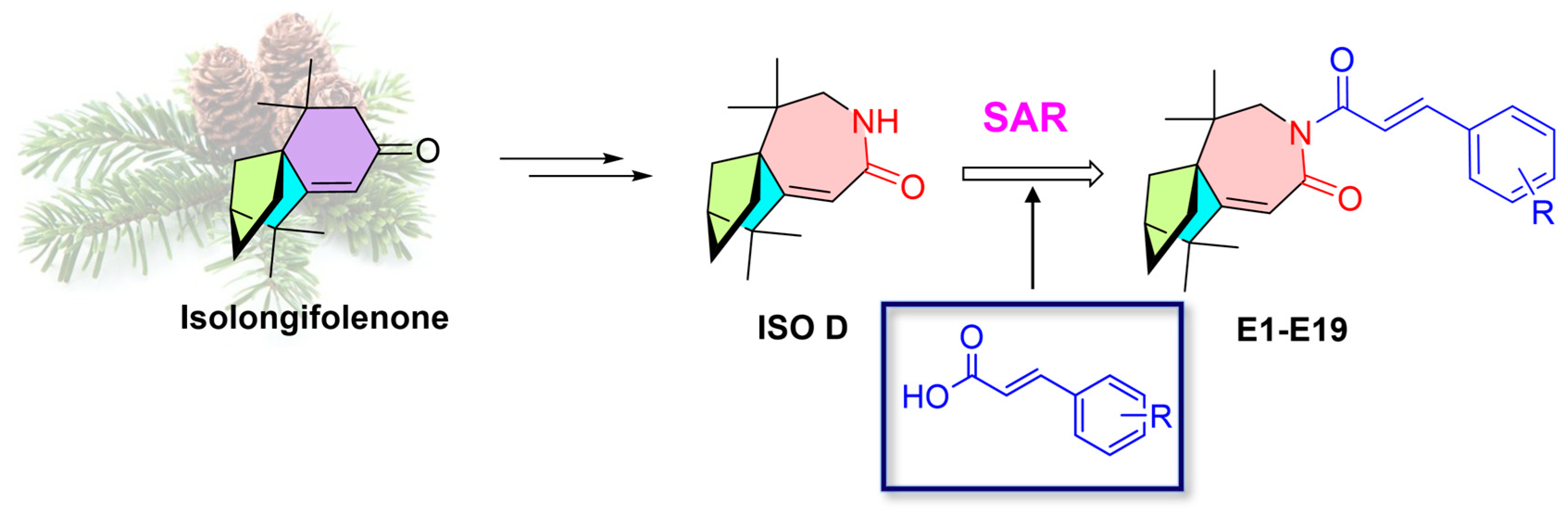 Molecules 30 04013 g002