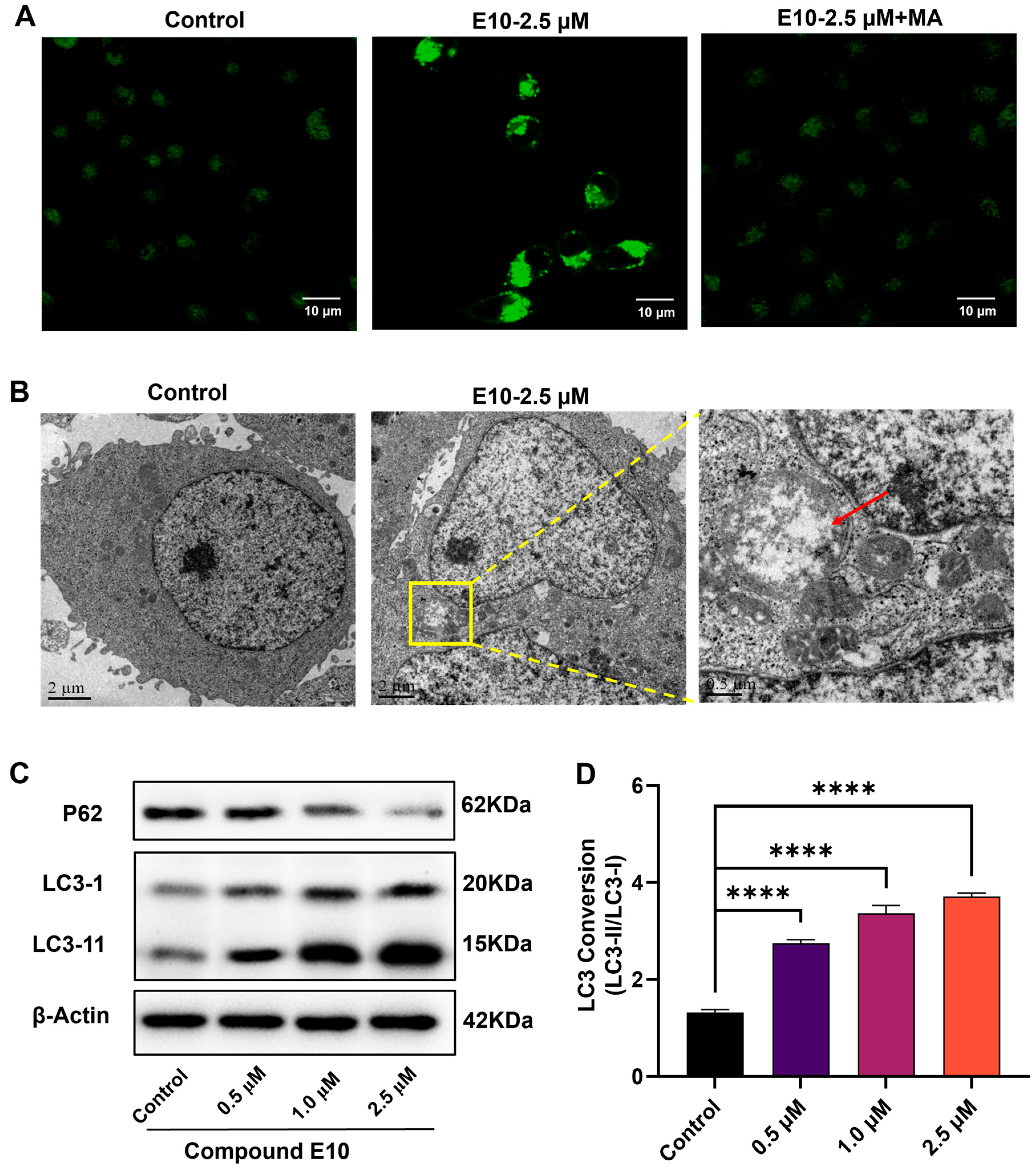 Molecules 30 04013 g005