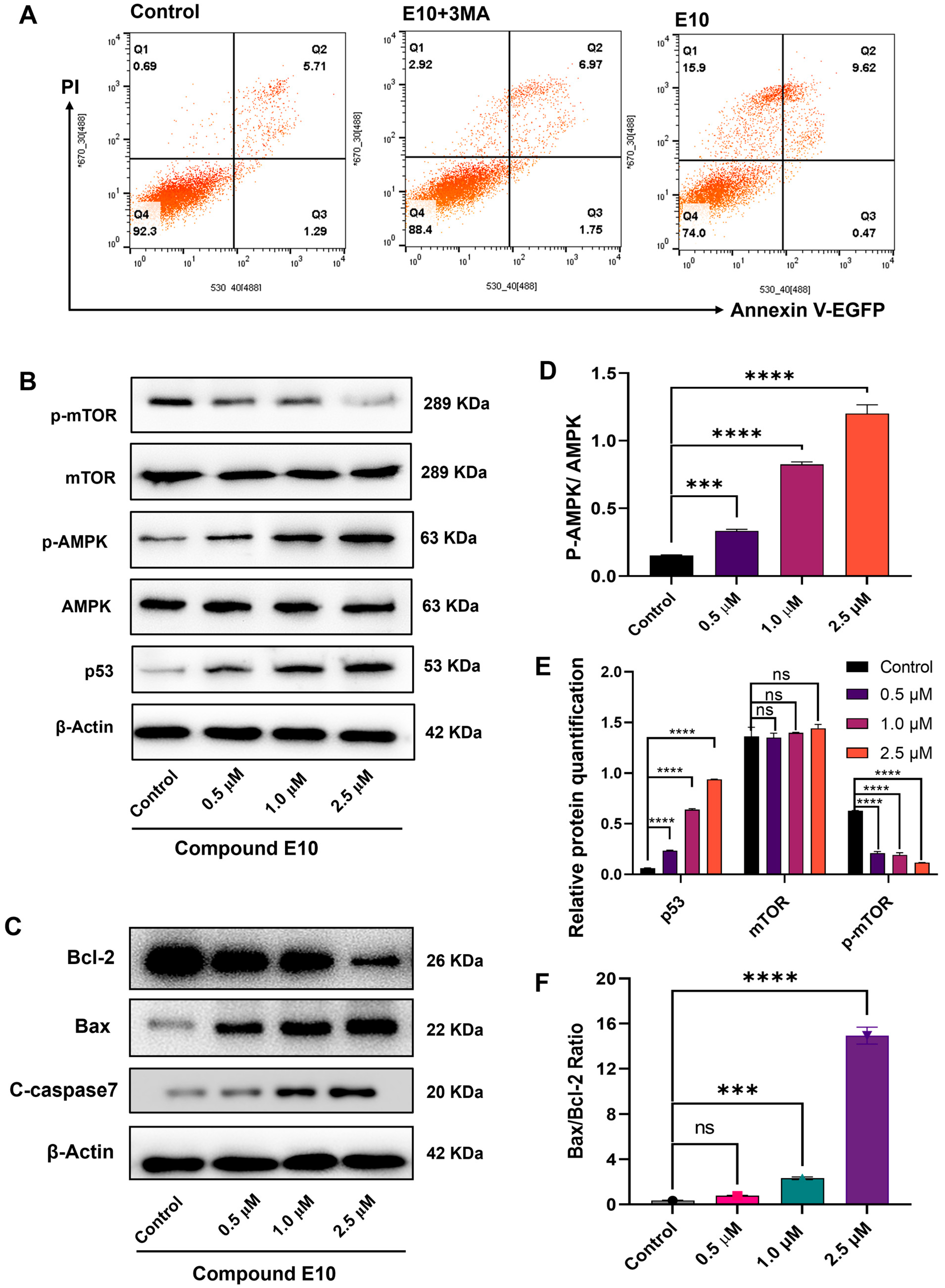 Molecules 30 04013 g006