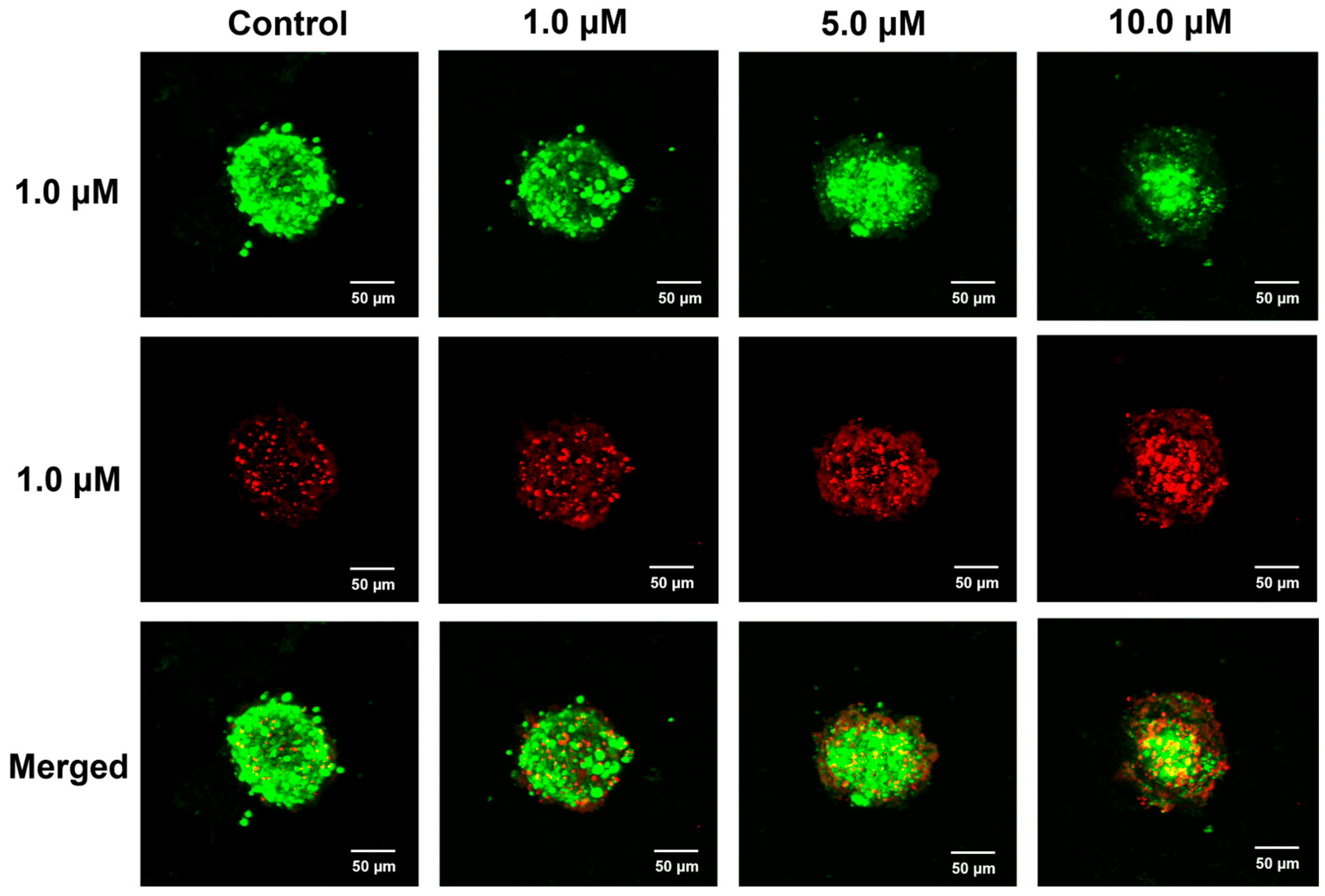 Molecules 30 04013 g007