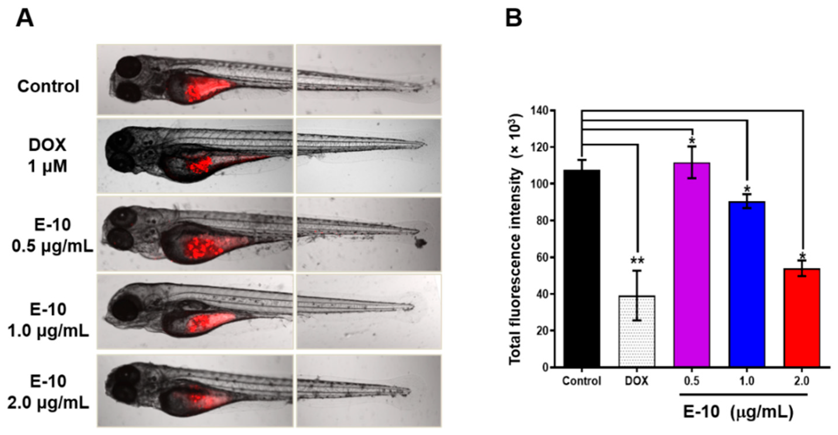 Molecules 30 04013 g008