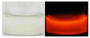 Molecules 30 04022 i001 Molecules 30 04022 i001