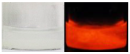 Molecules 30 04022 i002 Molecules 30 04022 i002