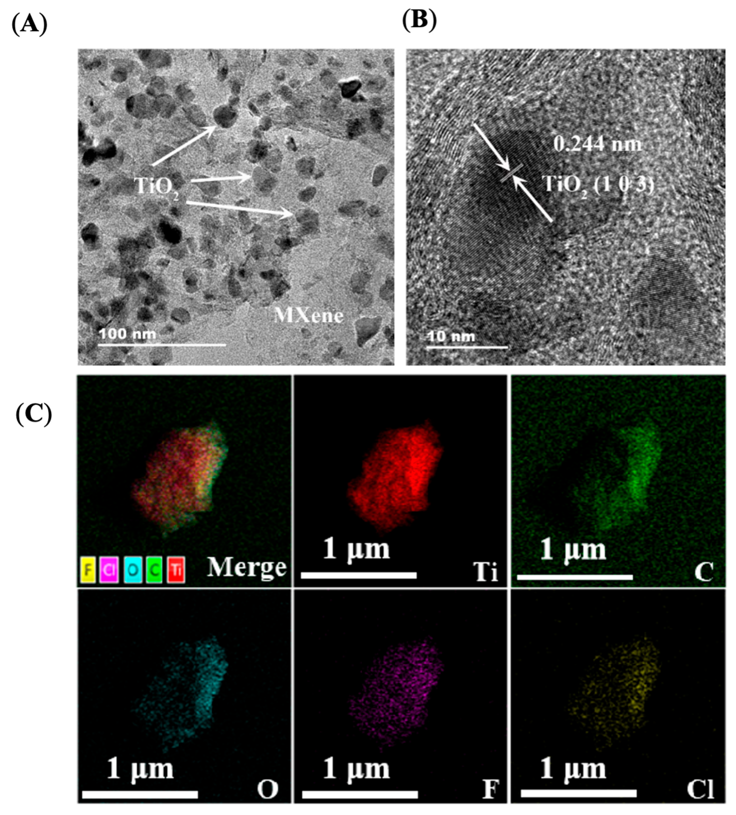 Molecules 30 04025 g003