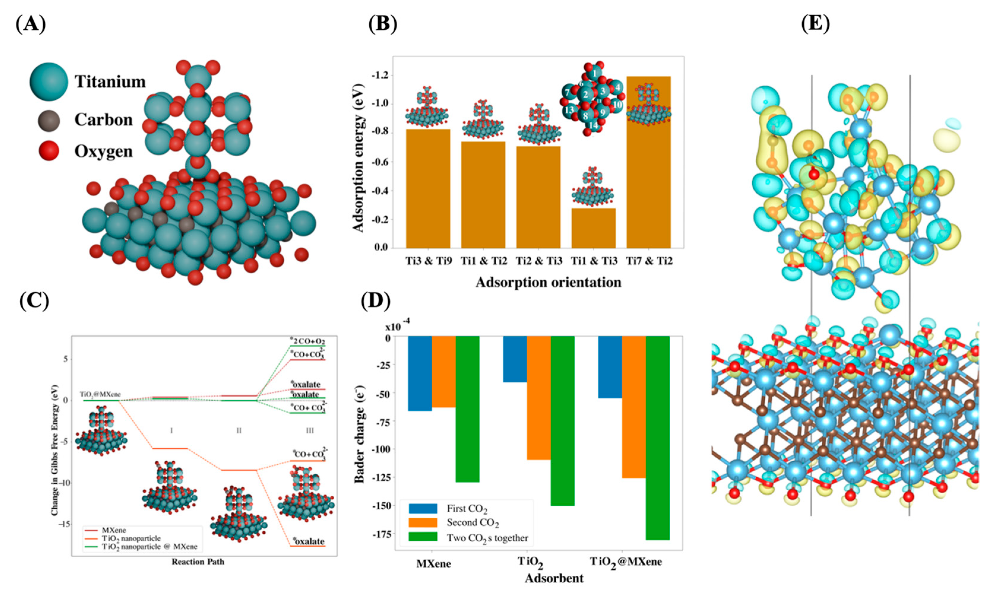 Molecules 30 04025 g005