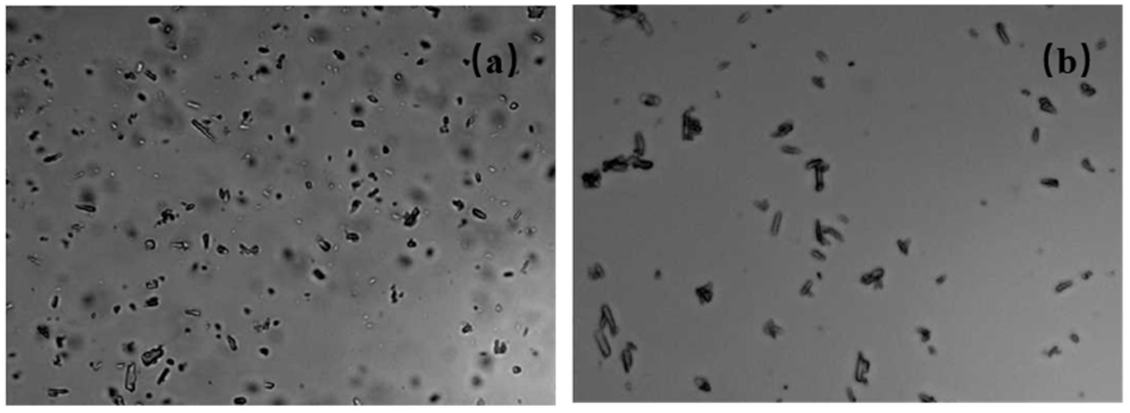 Molecules 30 04034 g001 Molecules 30 04034 g001
