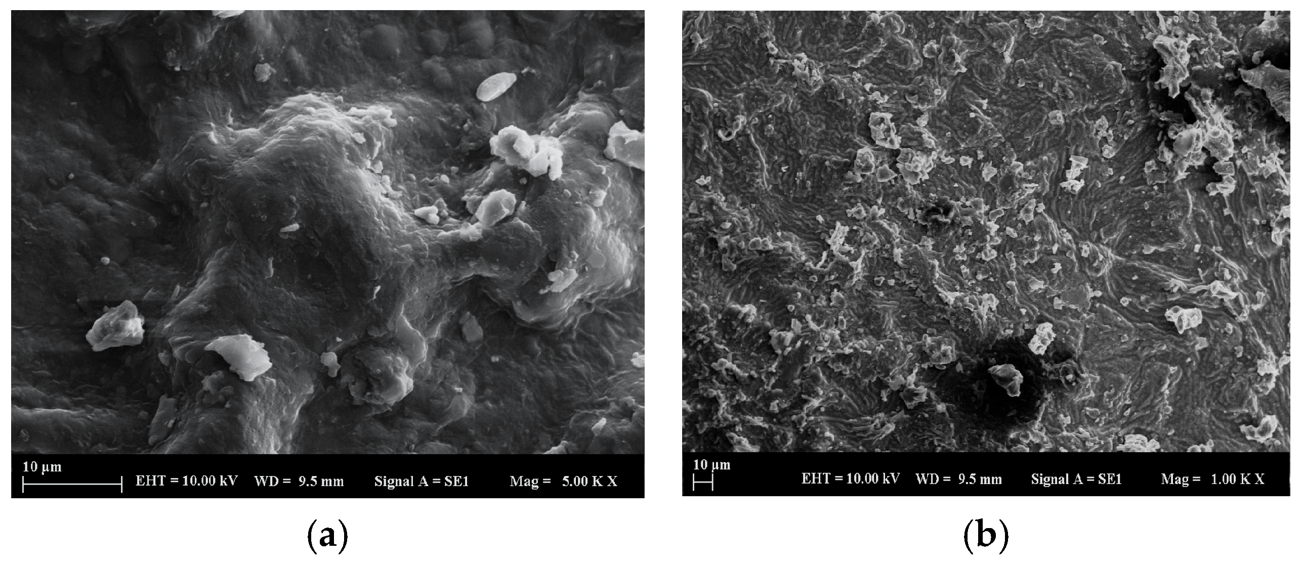 Molecules 30 04039 g001a